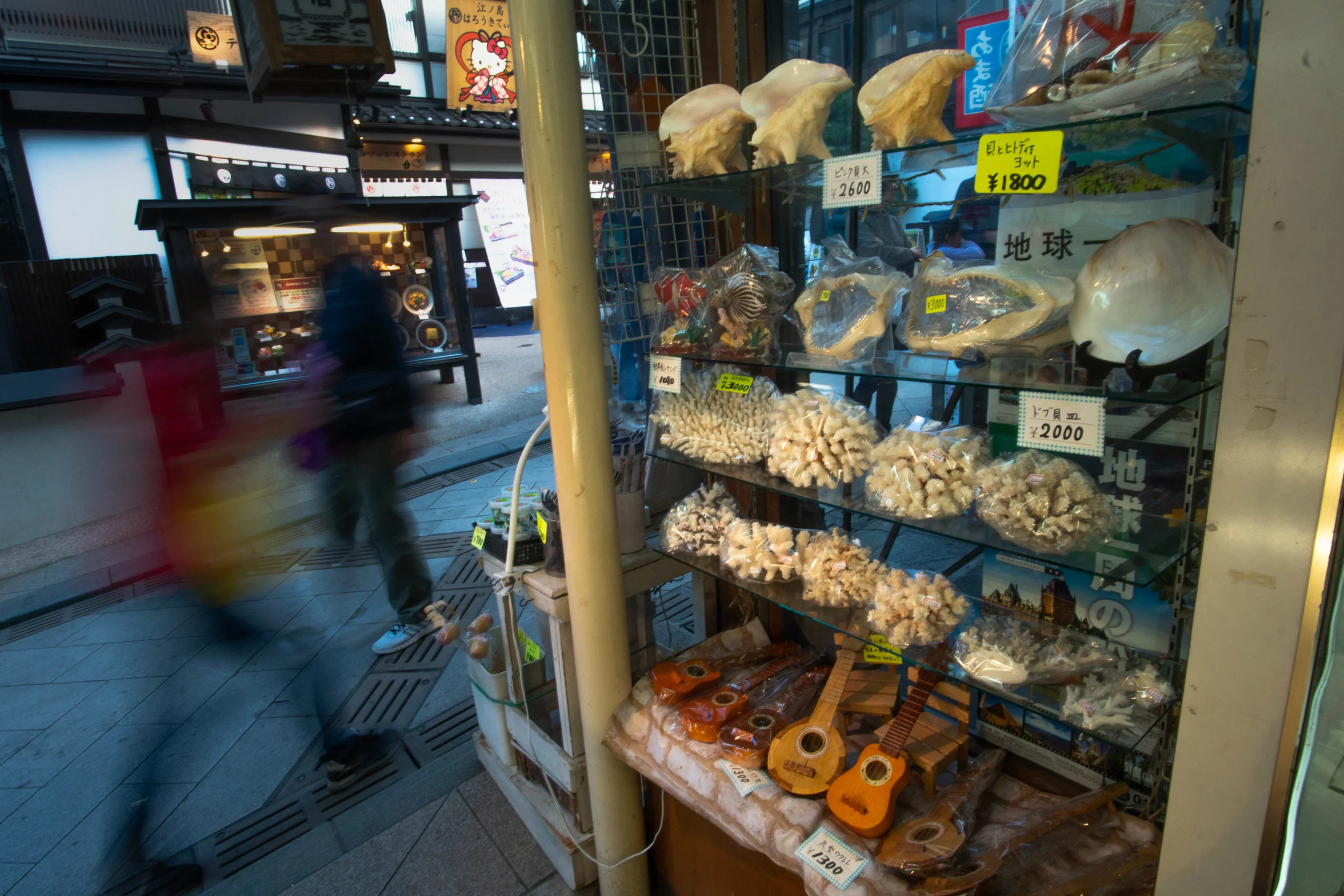 Documenting the Wildlife Trade 
