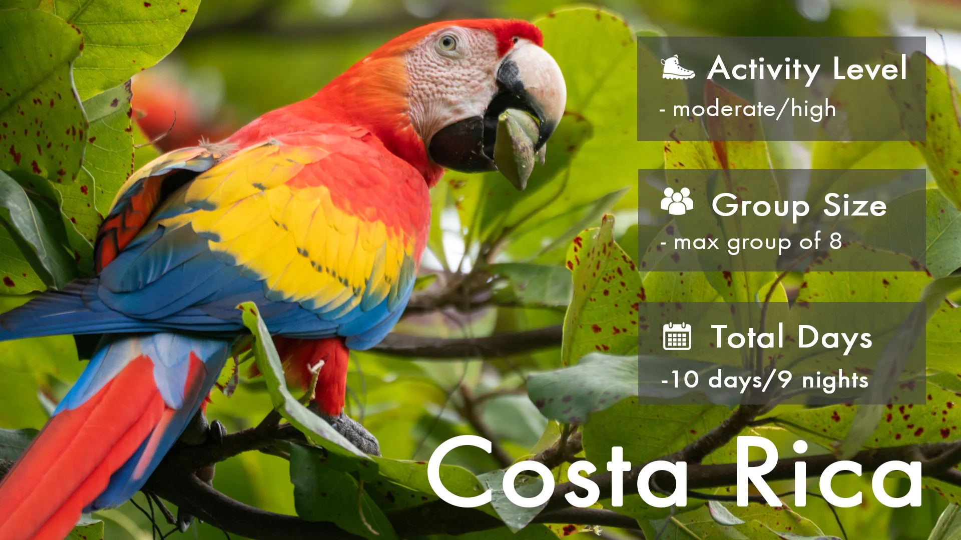 Costa Rica Header.jpg