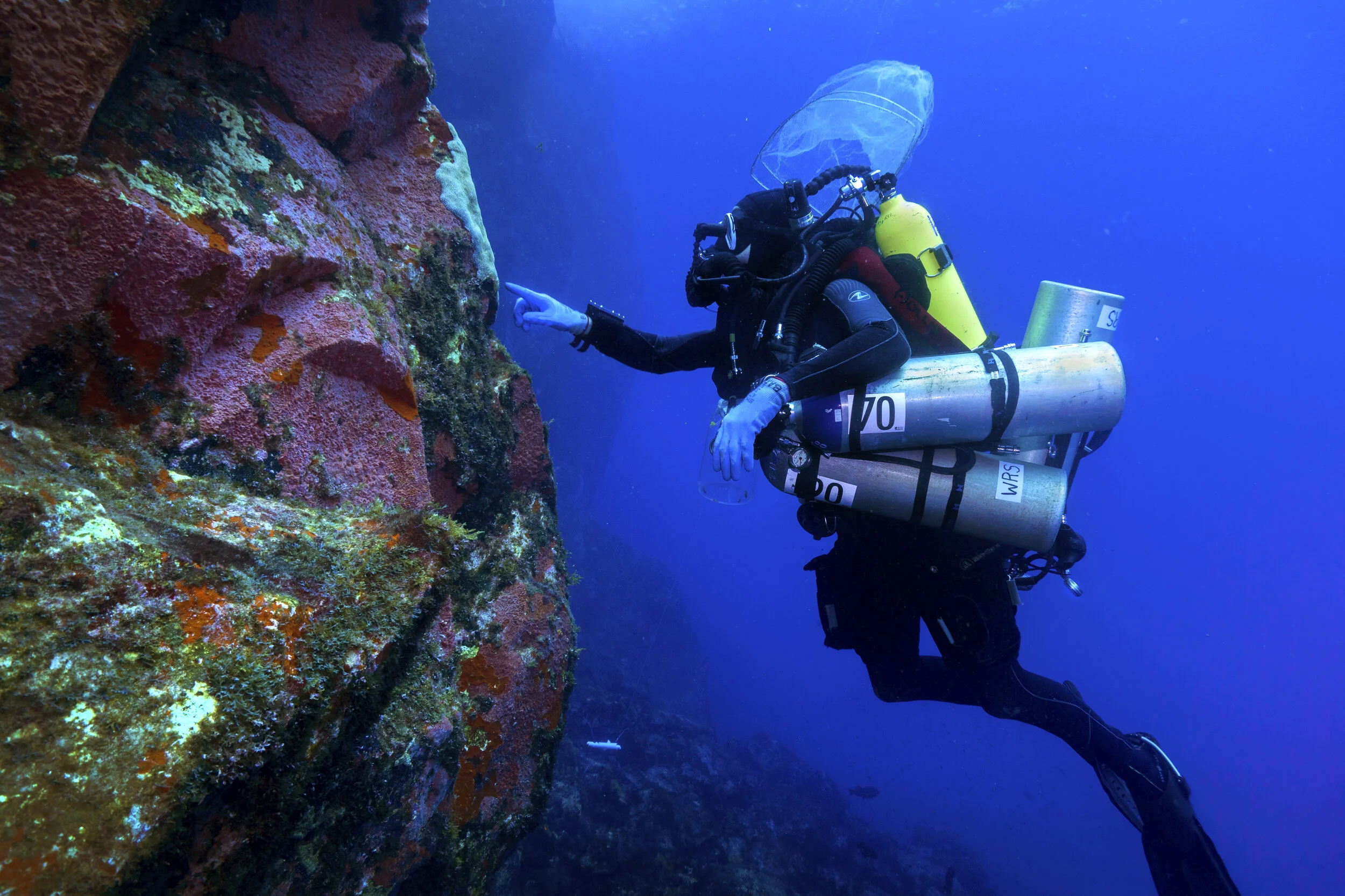 Keepers of the Deep
