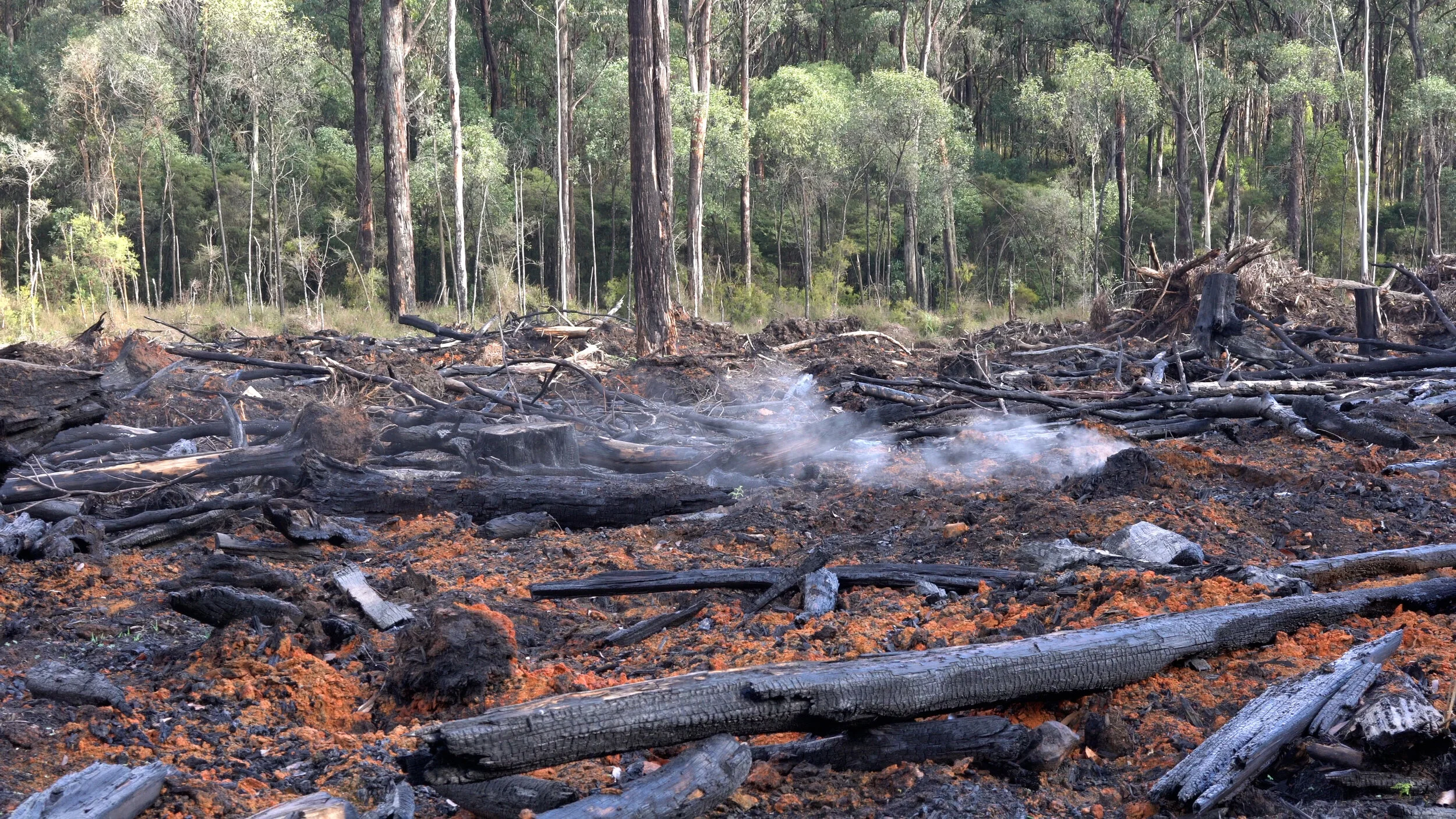 State governments ignores science - putting rural communities in greater bushfire risk 