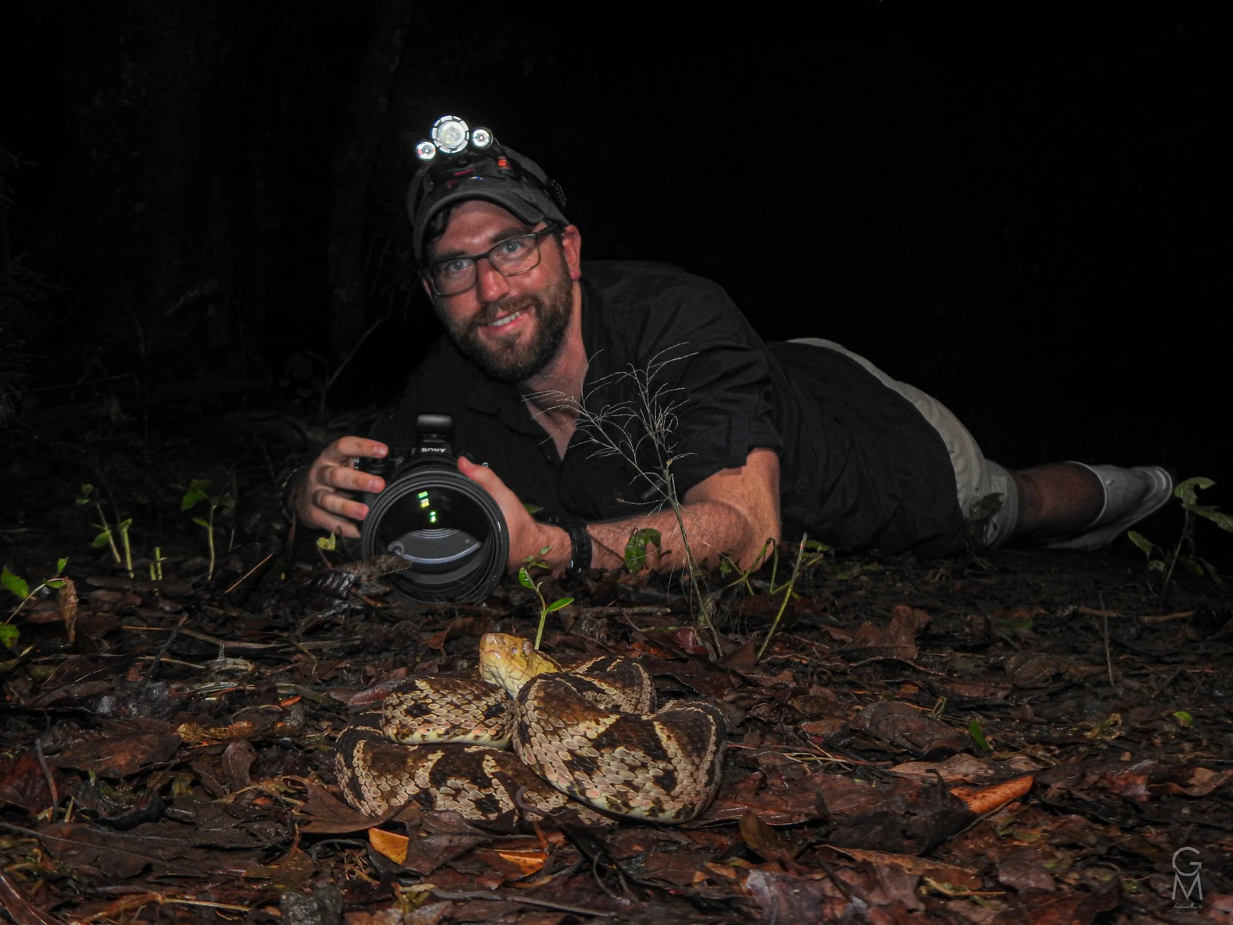 A night among the herps: Costa Rica