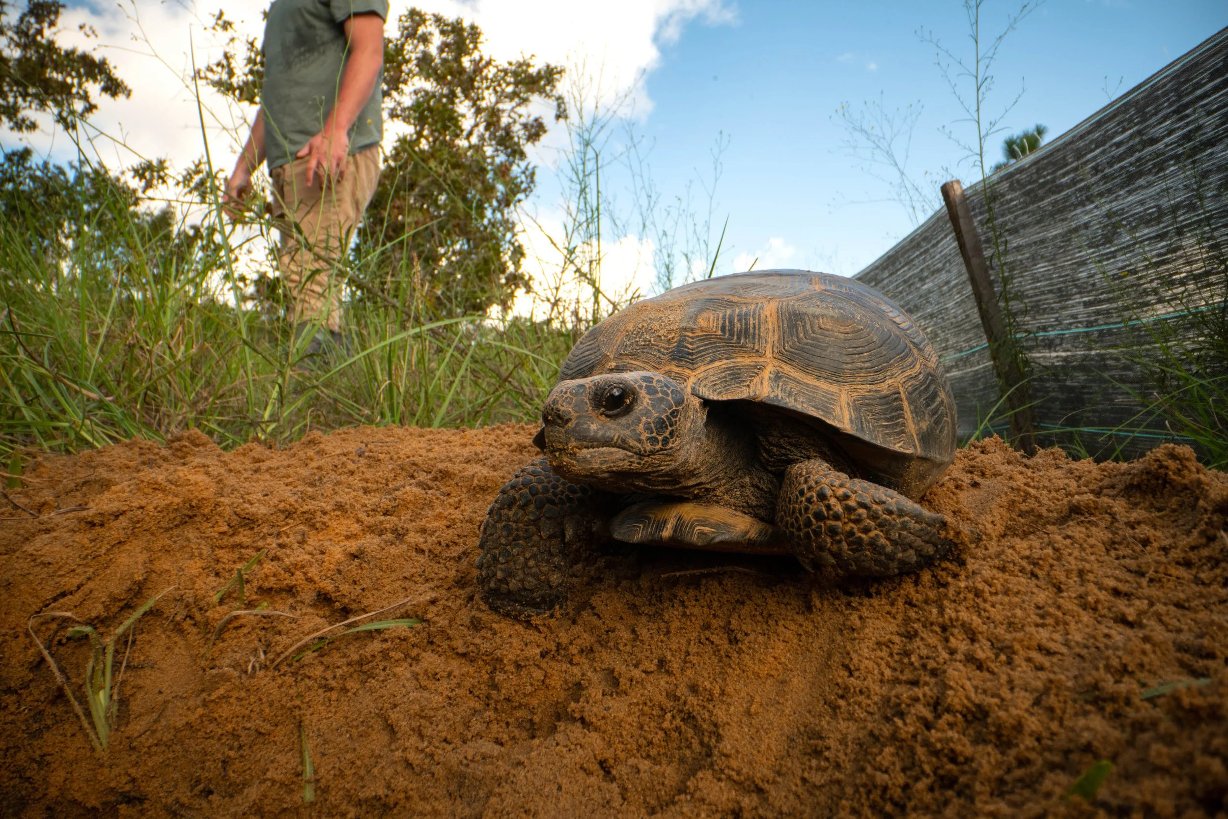 On assignment with Defenders of Wildlife