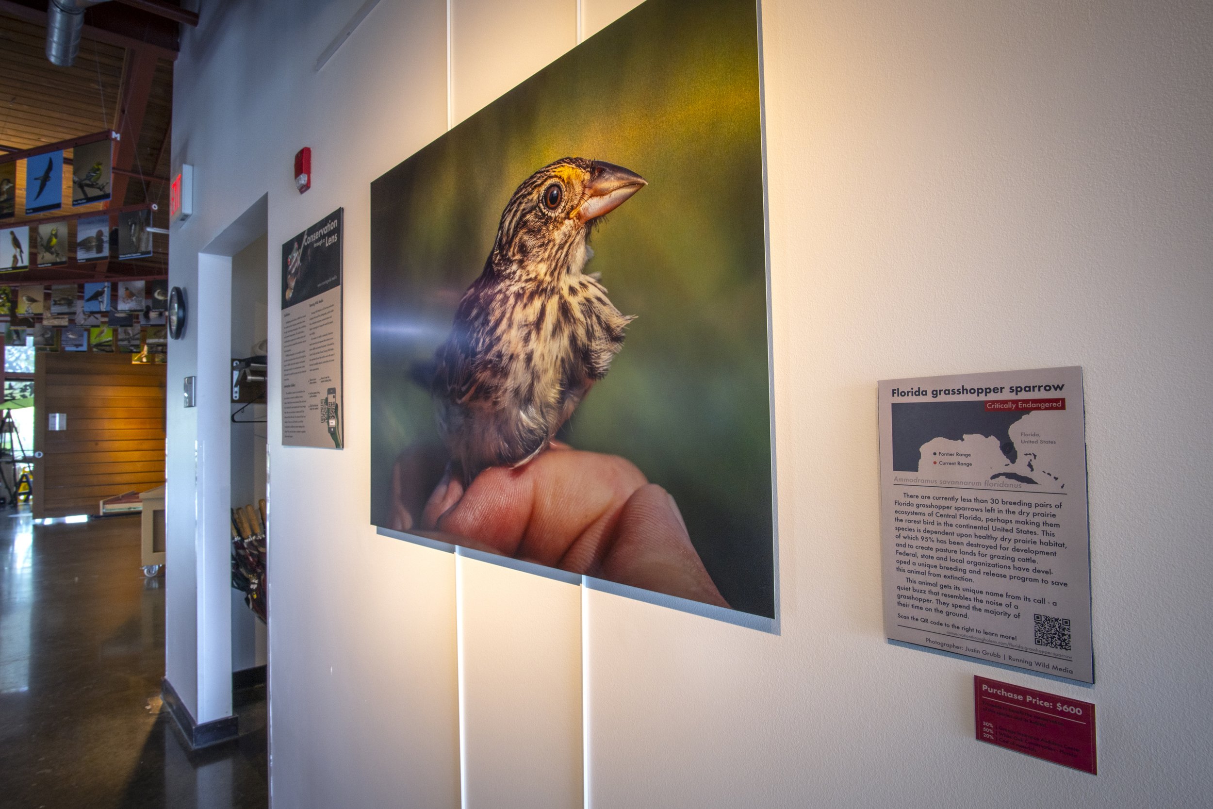 Wildlife photography exhibition at Columbus Audubon