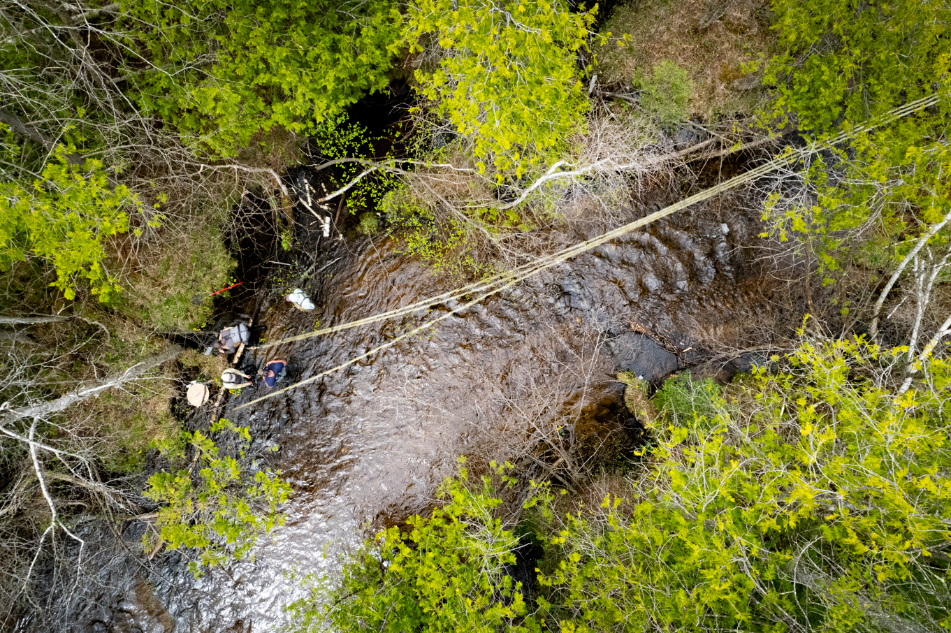 Screenshot 2026-02-23 223701.png