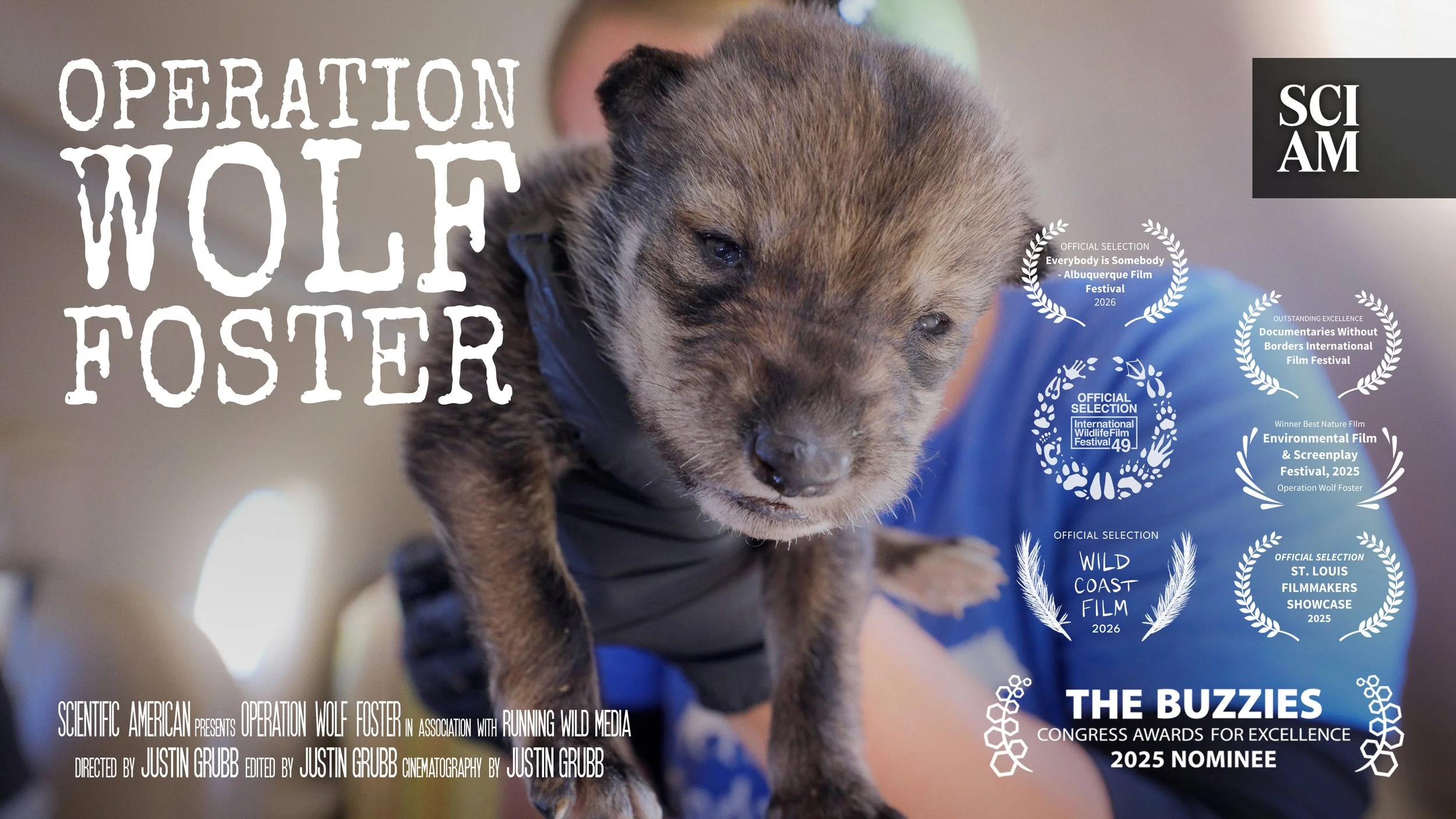 Wolf Foster Official Poster Wide update 3_6.jpg