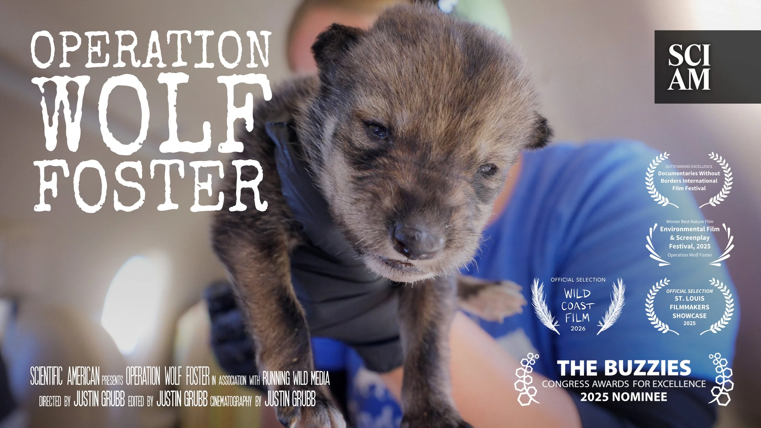 Wolf Foster Official Poster Wide update 1_19_26.jpg