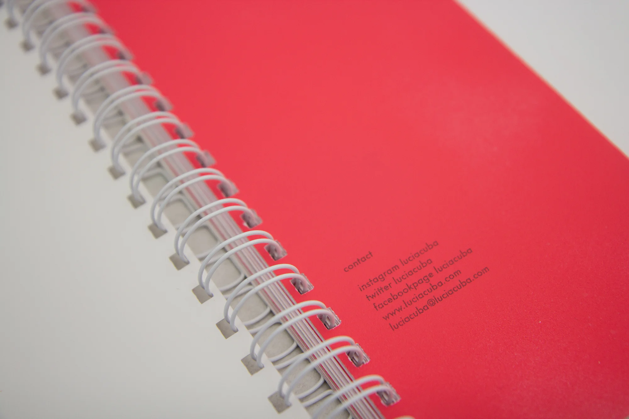 Lucia Cuba, Publication