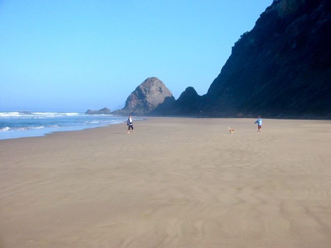 low tide on the beach