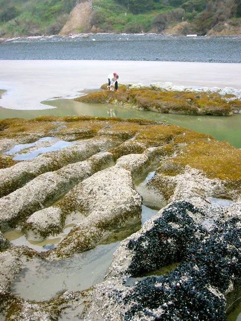 more amazing tide pools