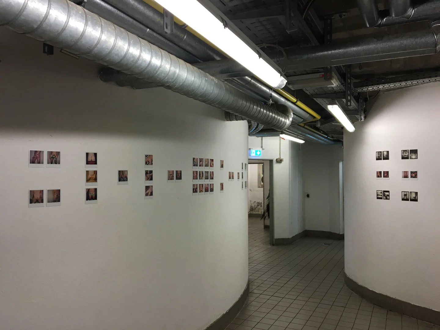 art_topbtm_andre_levy_zhion_alexandre_borba_polaroids_flowers_erotic_homoerotic_palmengarten_exhibition_underground.jpg