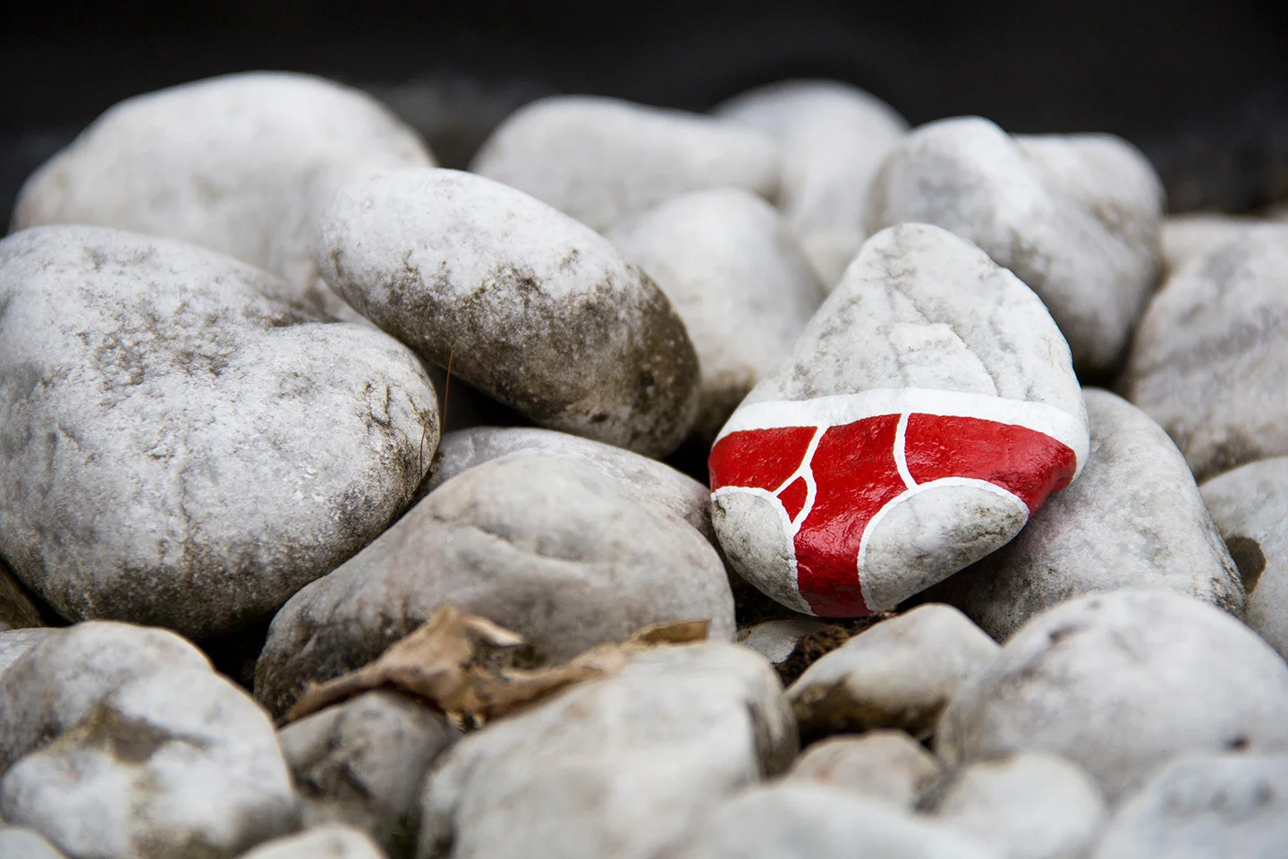 street_art_andre_levy_zhion_intervention_underpants_briefs_frankfurt_germany_garden_red.jpg