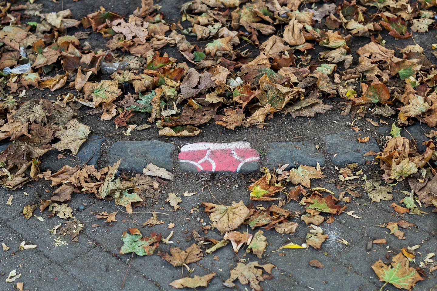 street_art_andre_levy_zhion_intervention_underpants_briefs_frankfurt_germany_main_pink.jpg