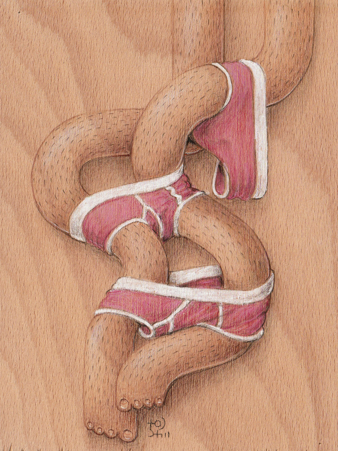 mixed_media_illustration_andre_levy_zhion_wood_colored_pencil_legs_masculine_underwear.jpg