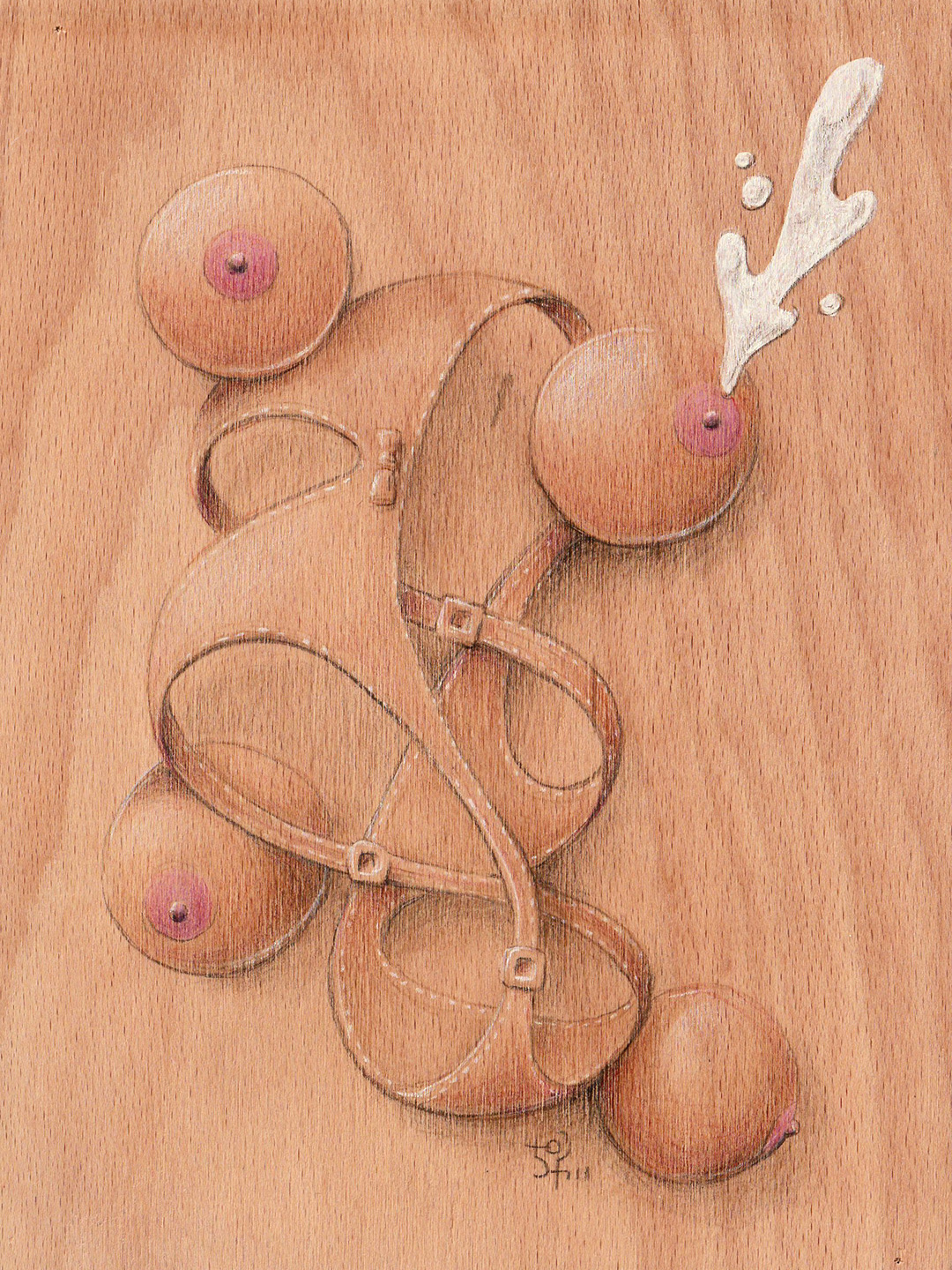 mixed_media_illustration_andre_levy_zhion_wood_colored_pencil_milk_breasts_feminine_underwear.jpg