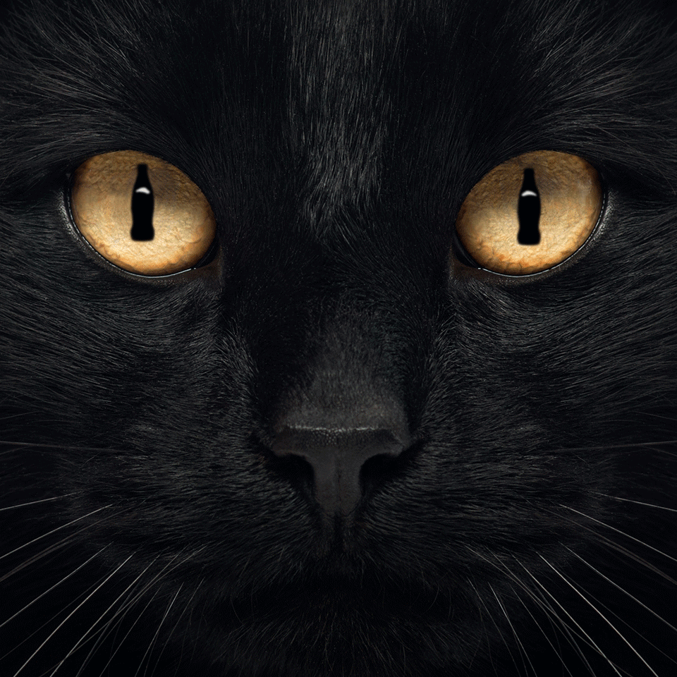 "Sometimes things aren’t quite as unlucky as they appear. #FridayThe13th"