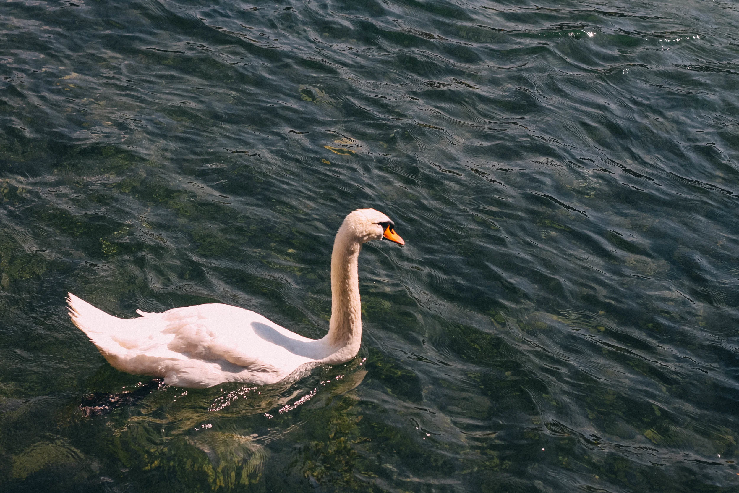 Travel- Lucerne, Switzerland