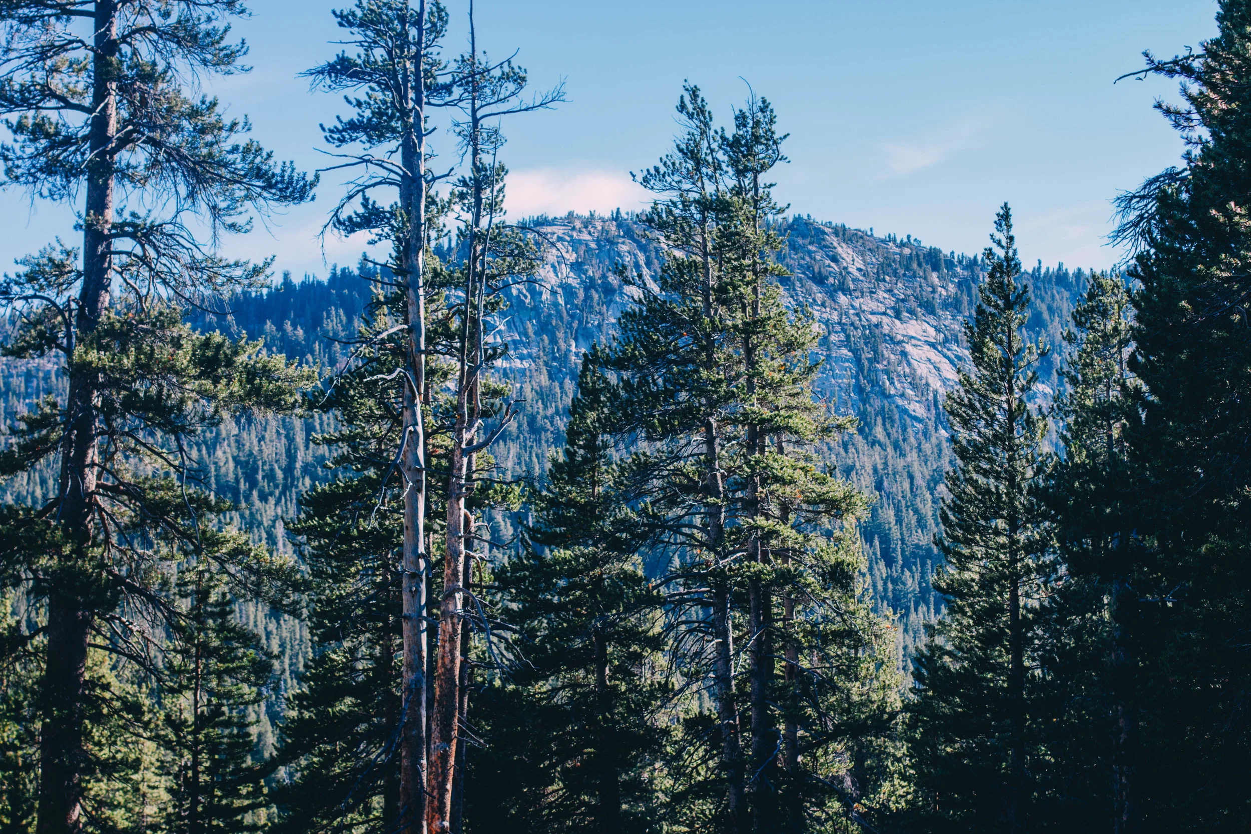 Travel- Yosemite, Ca