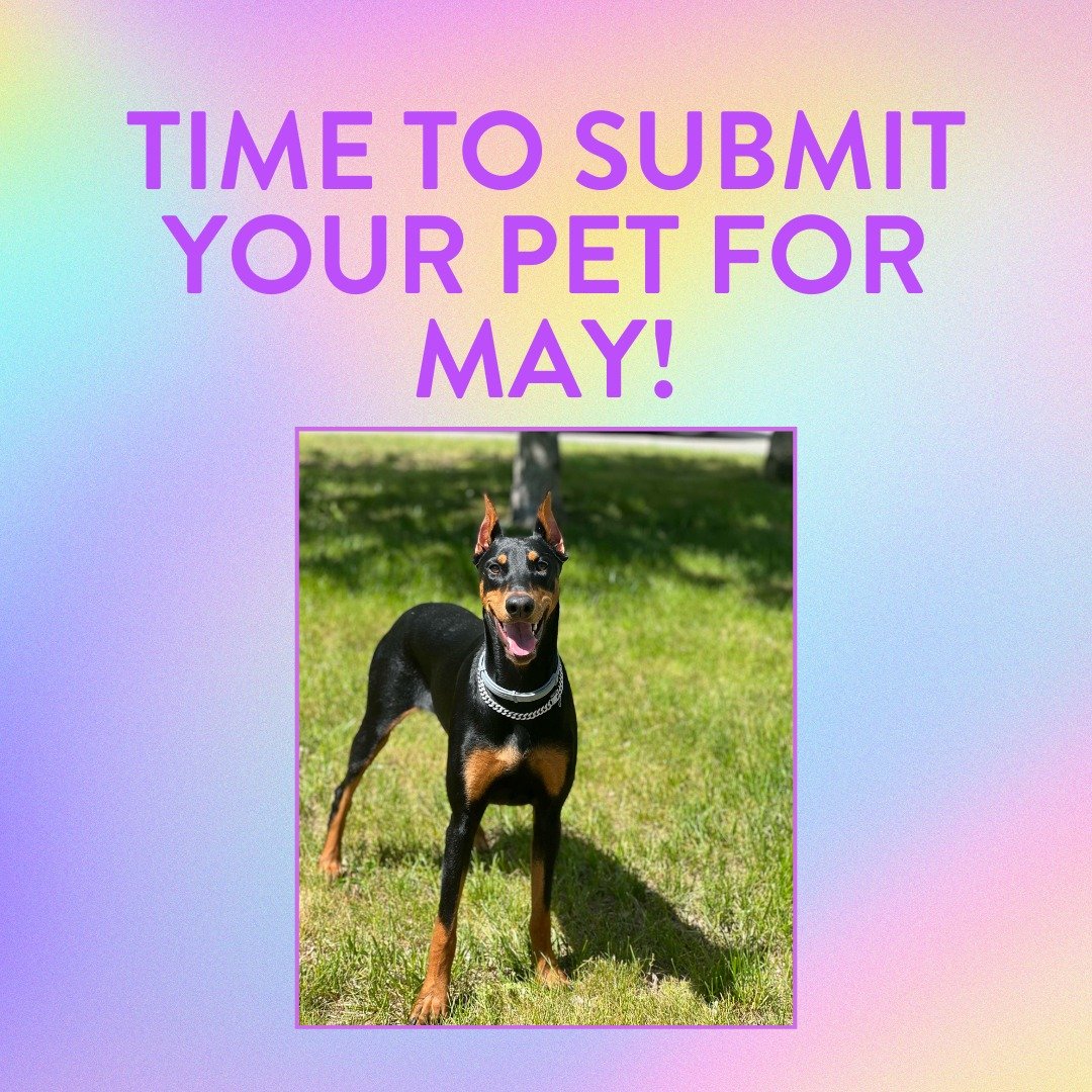 Harlow says it's time to submit your pet for April Pet of the Month!

We are accepting entries now until 4/22 at 8pm. Get those photos in now!!

Once we compile all the entries and post the album to our Facebook page, you all will have 24 hours to vo