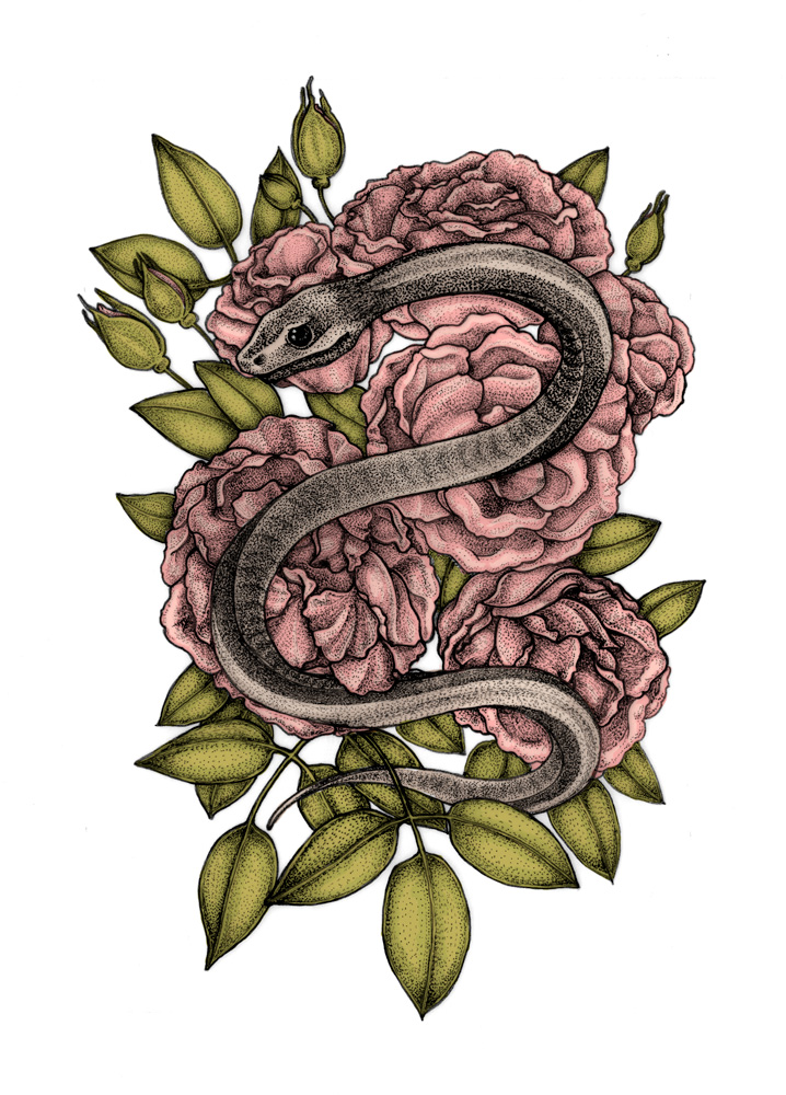 serpent, roses