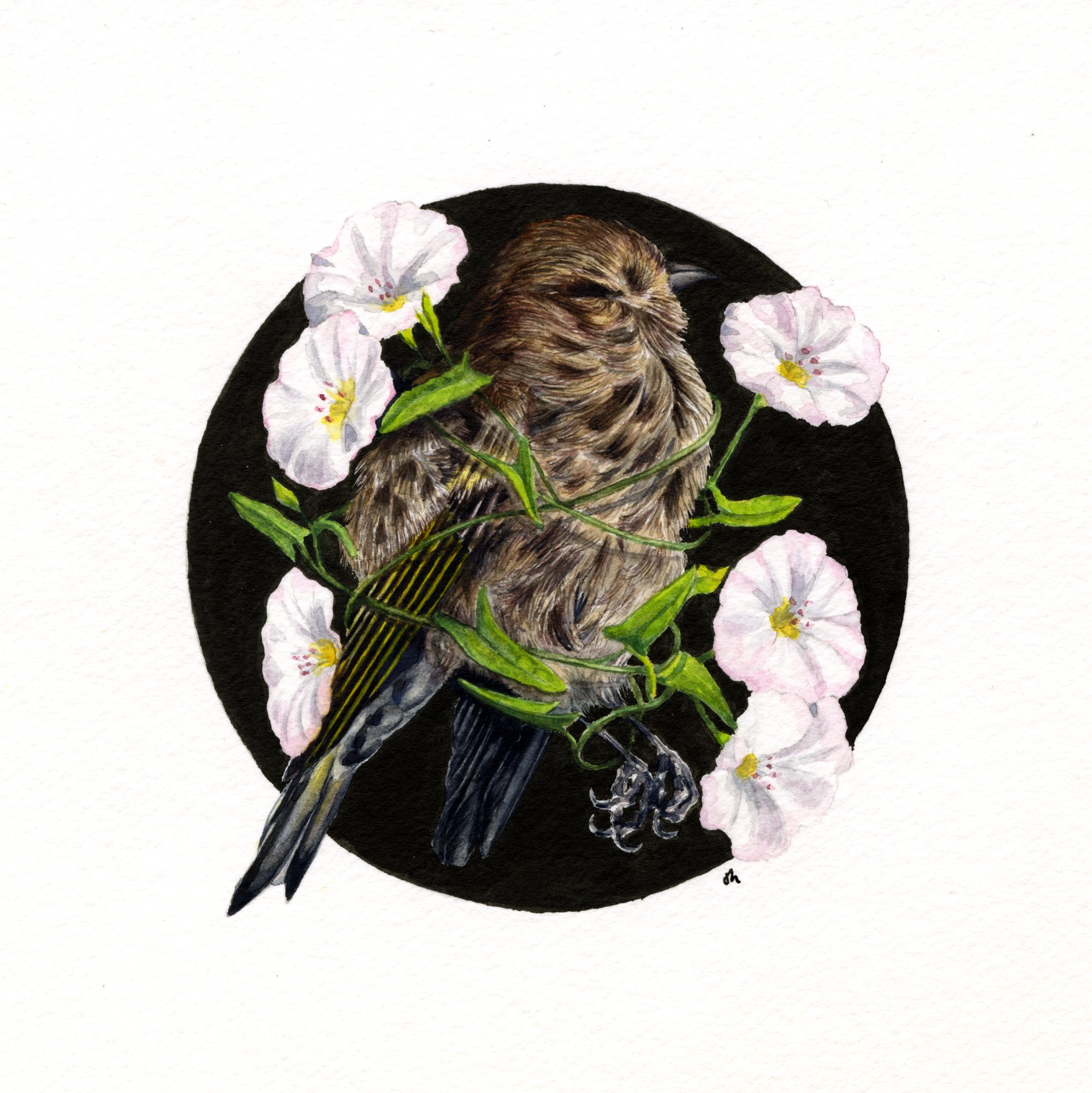 Quell, watercolor and ink on paper