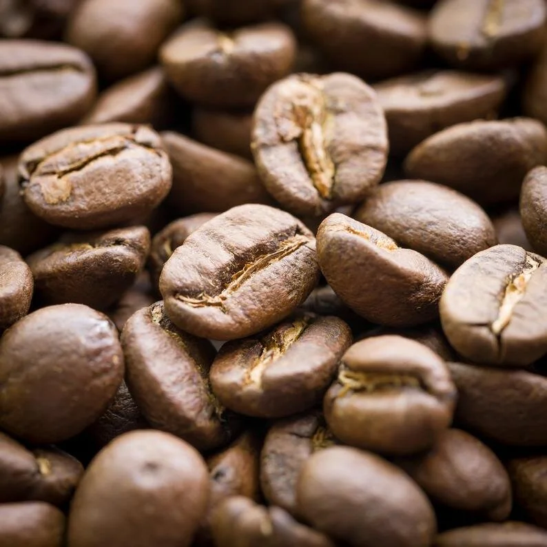 GuateCafe.Prof.Pic.MediumWB.jpg
