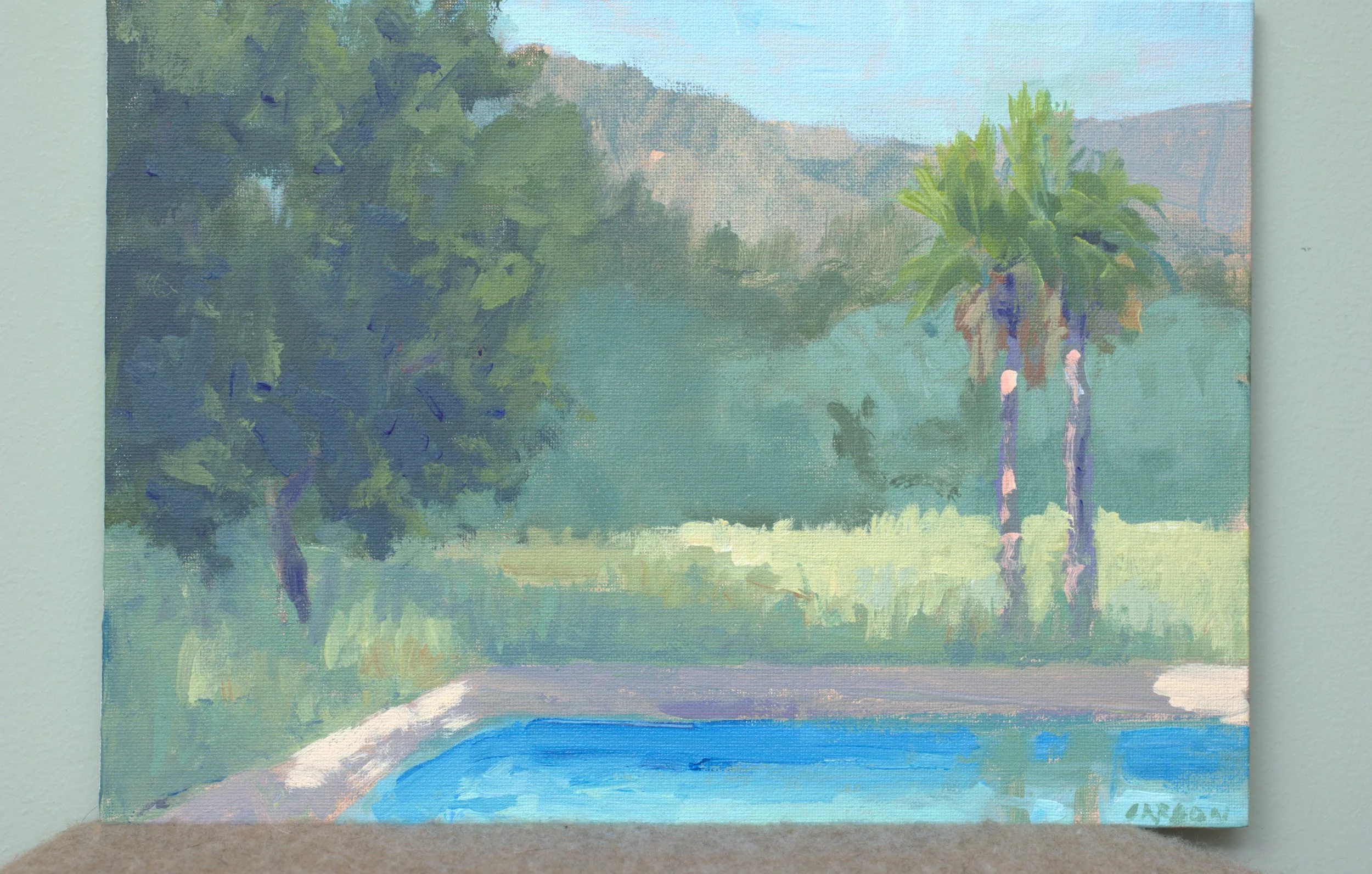 Pool Next Door from a distance.jpg