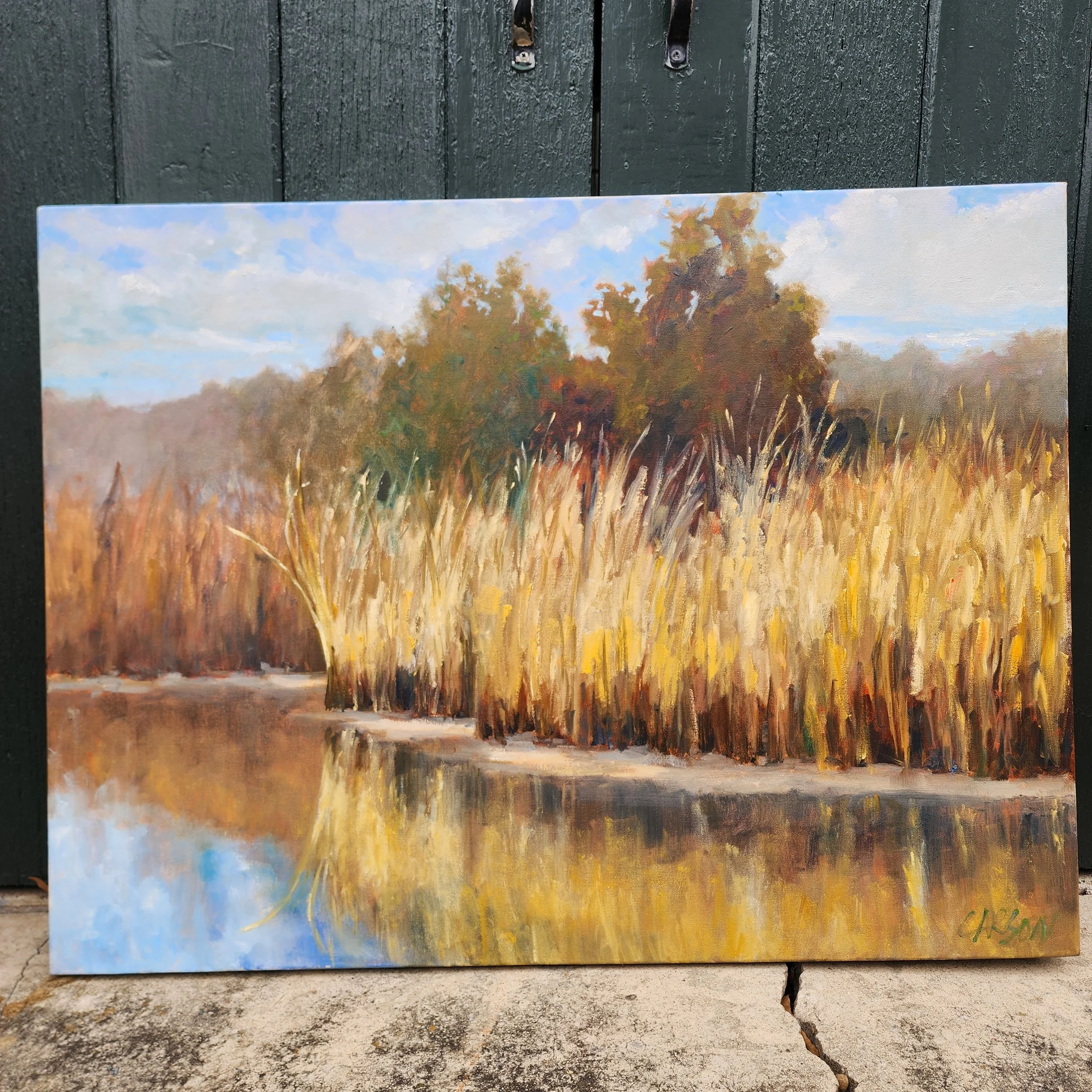 Tributary reeds final.jpg