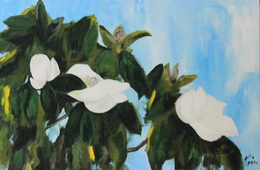 Smell That Sweet Magnolia Blooming.JPG