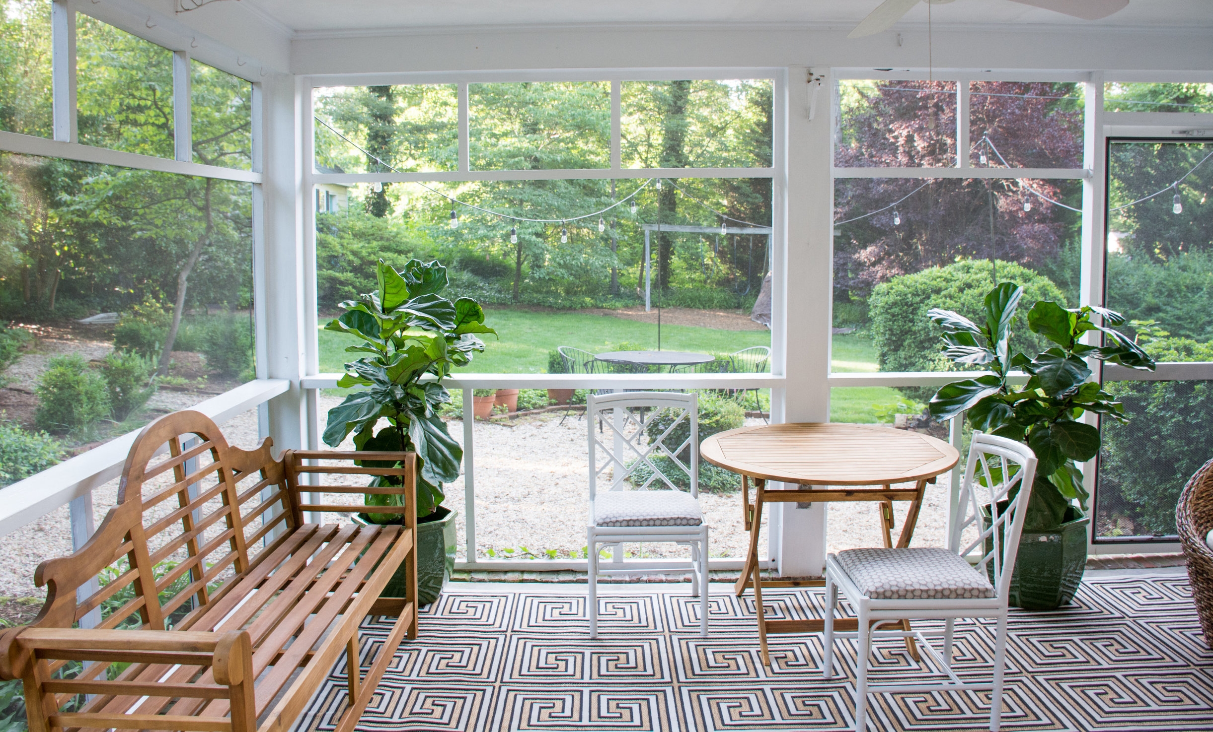 Large fiddle figs bring the outside inside.