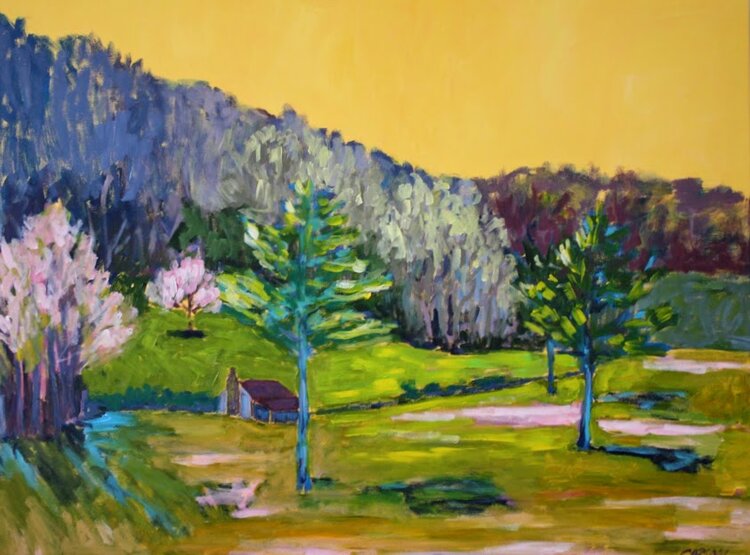 Down in the Holler.JPG