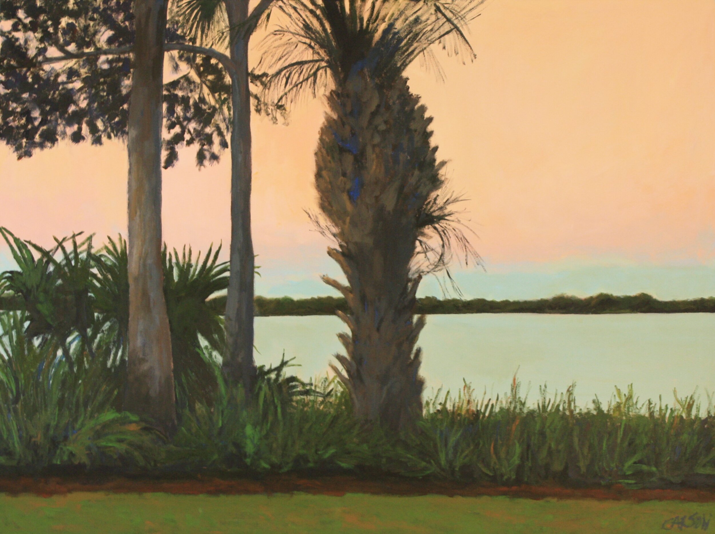 Palmetto View 12 BEST.JPG