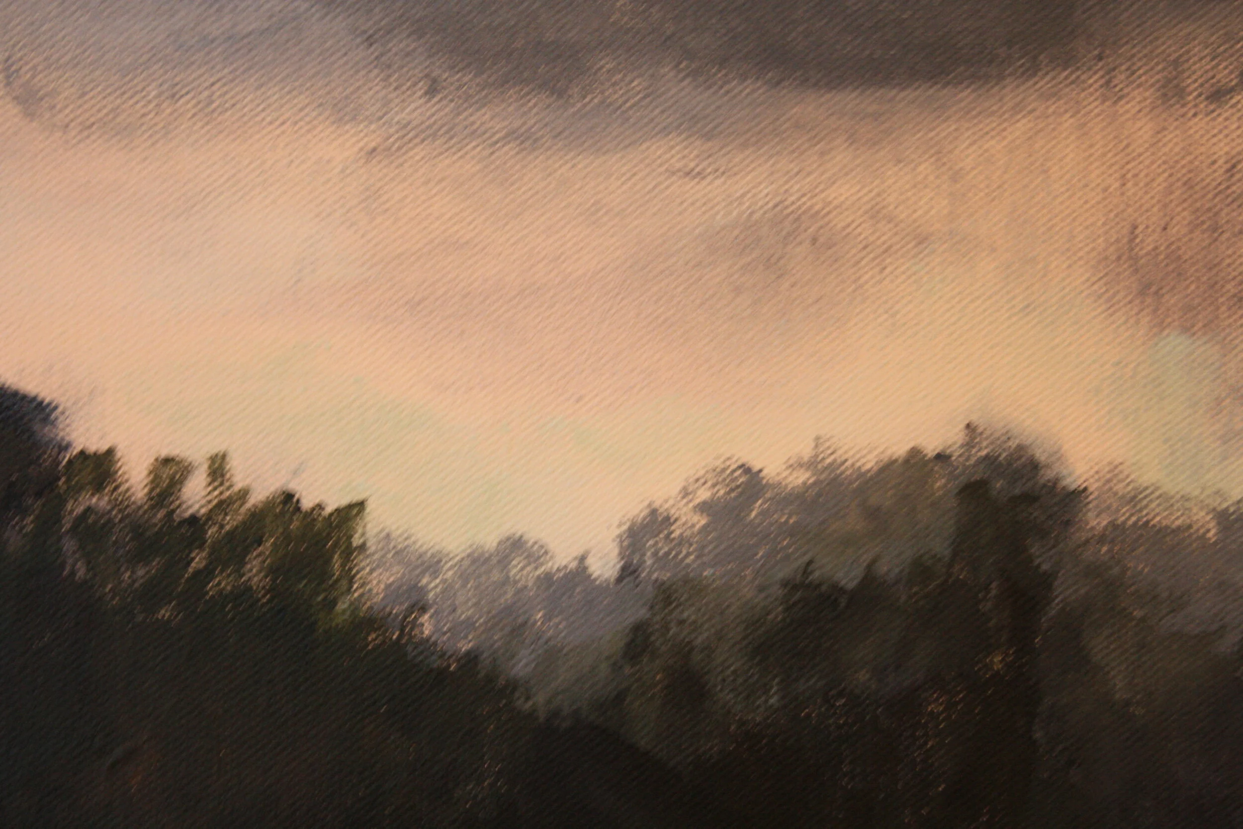 Cows Grazing in Essex 4.JPG