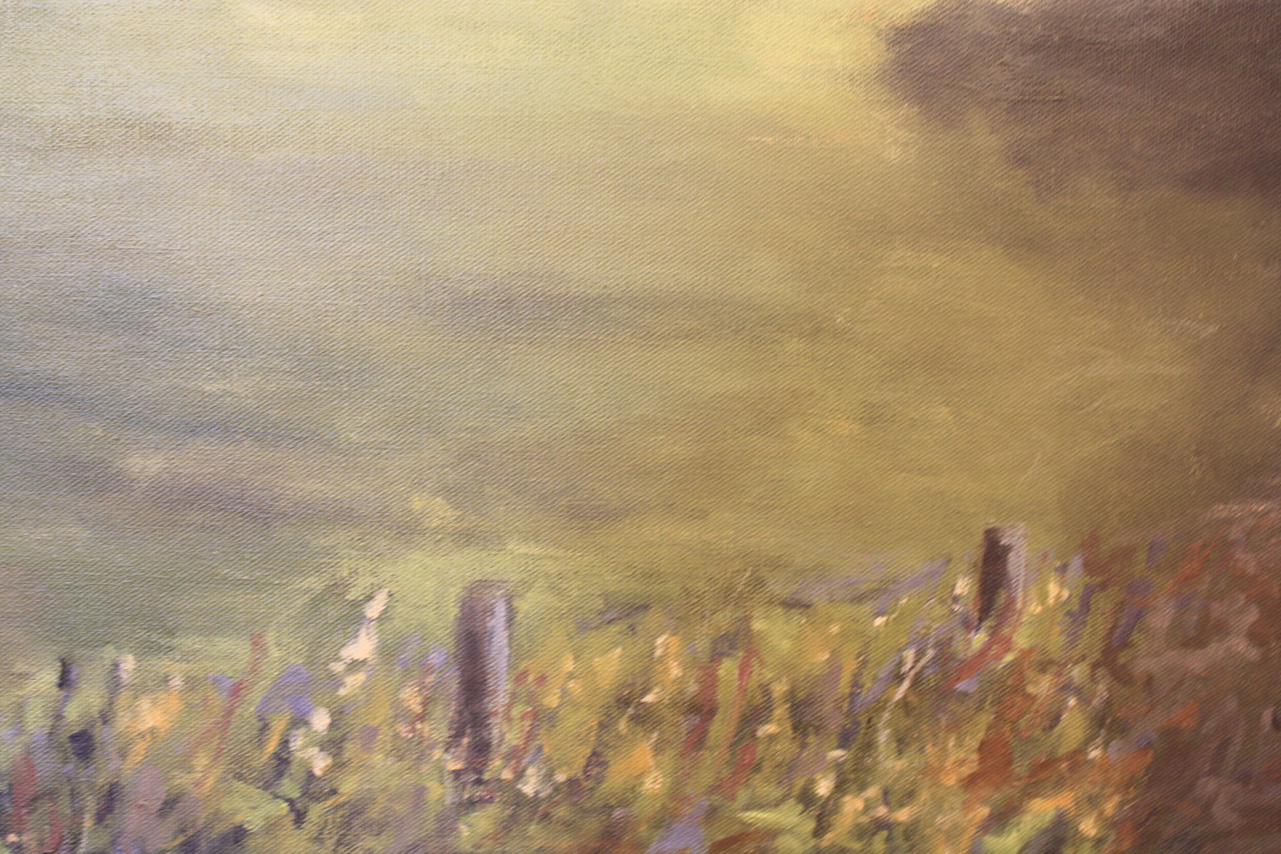 Cows Grazing in Essex 7.JPG