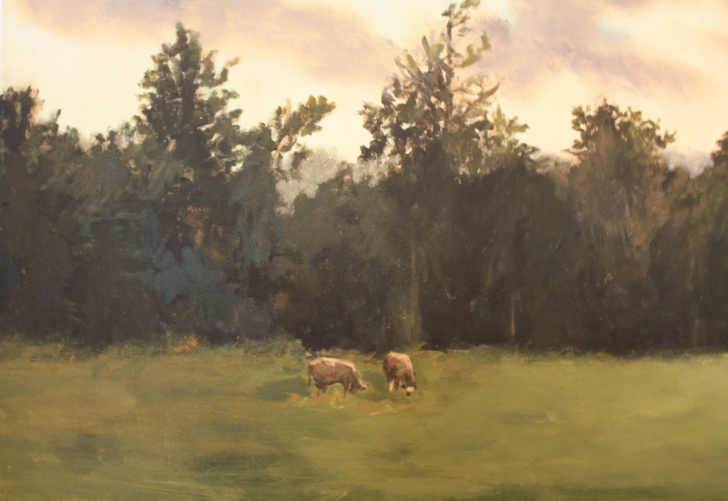 Cows Grazing in Essex 9.JPG