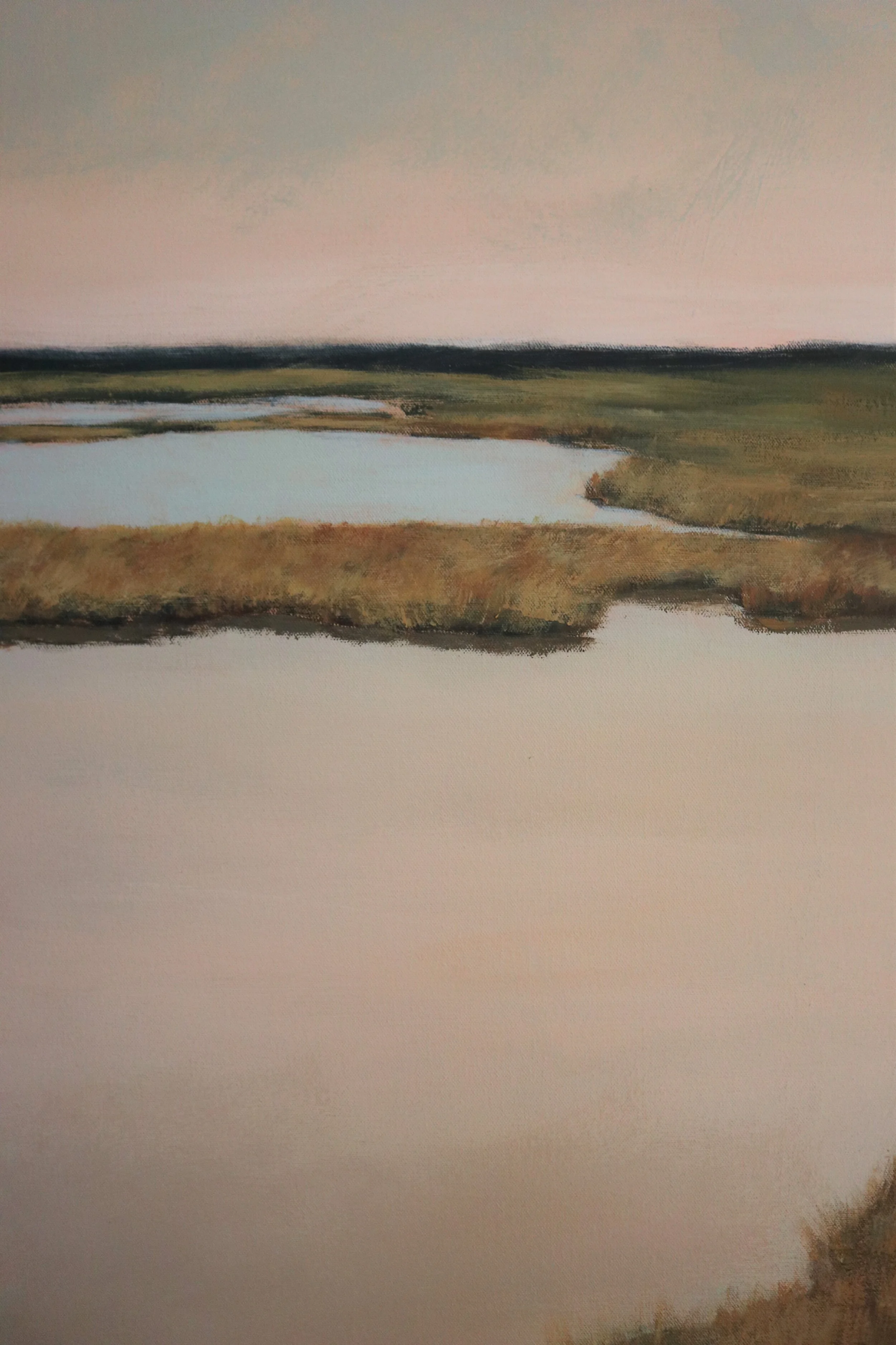 Near the Outter Banks close-up 1.JPG