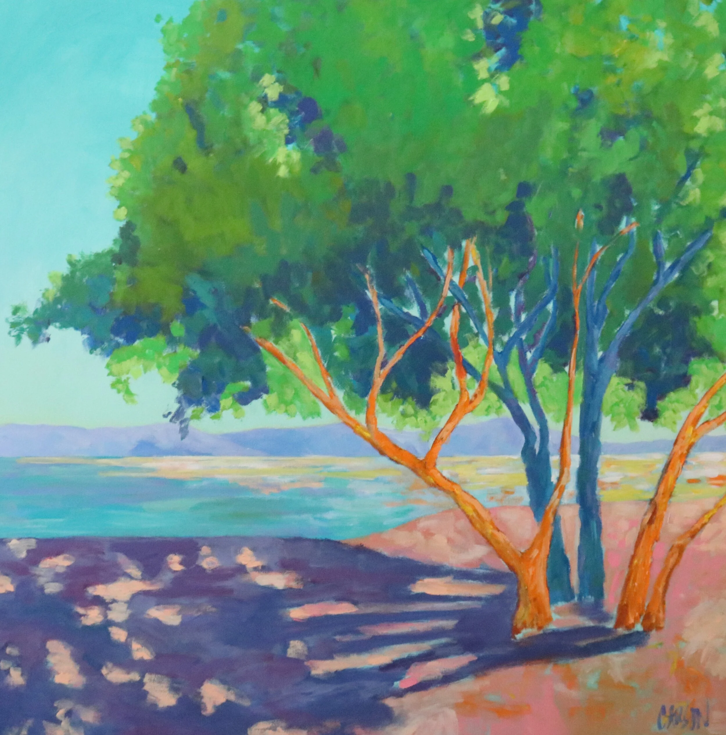 Bright Morning Shadows BEST.JPG