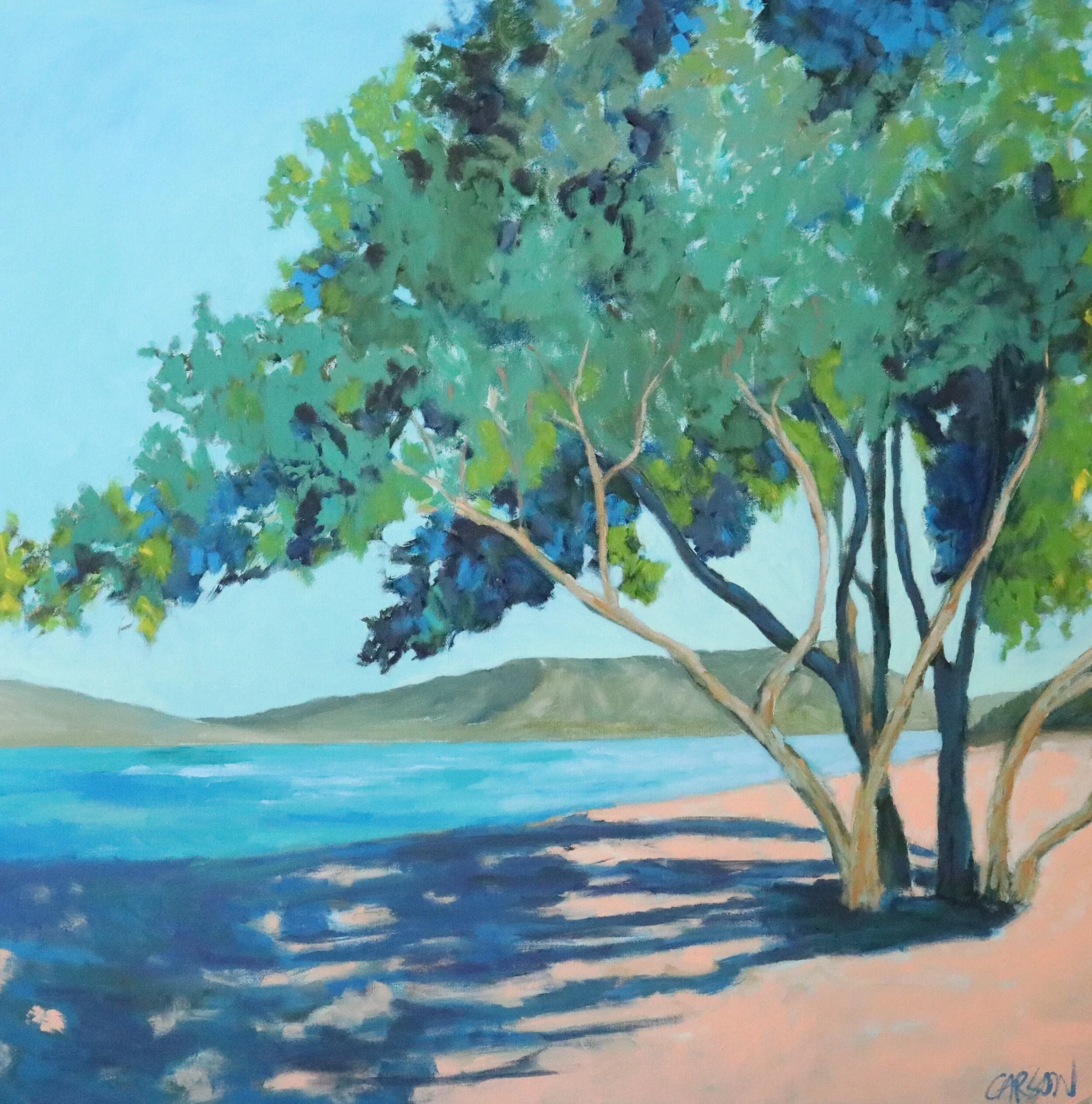 Early Morning Shadows BEST.JPG