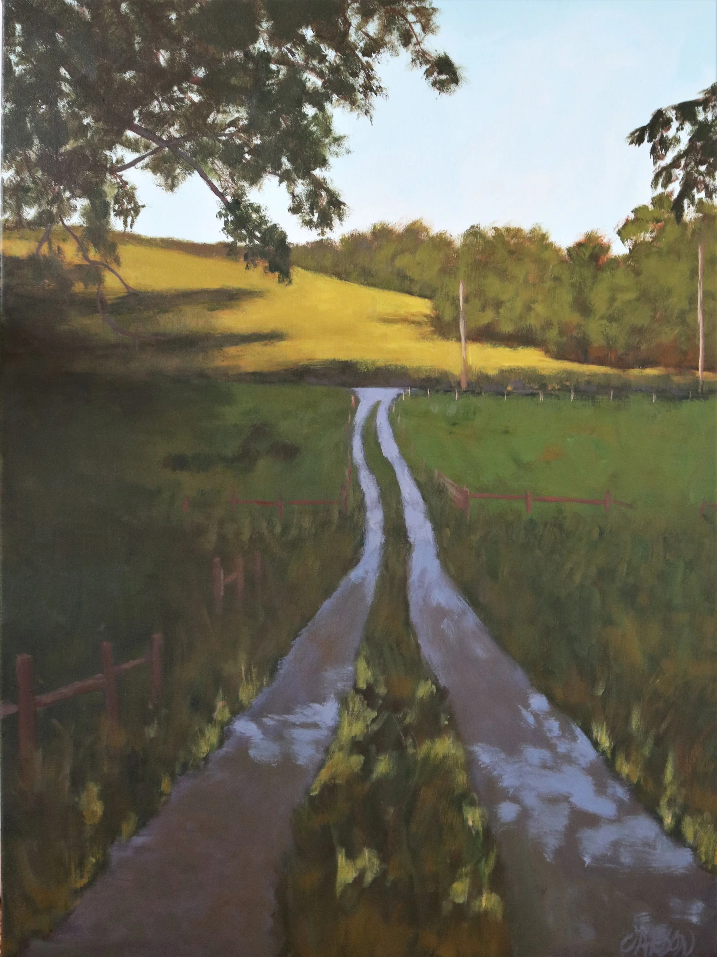 Road Less Traveled.JPG