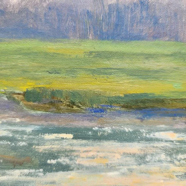Glistening Across Braddock Cove close-up.jpg