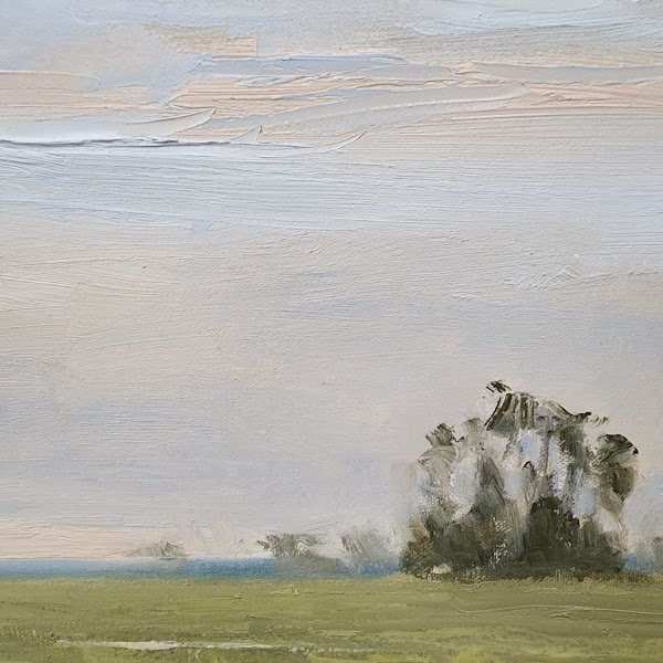 Sunrise Quiet close-up 1.jpg