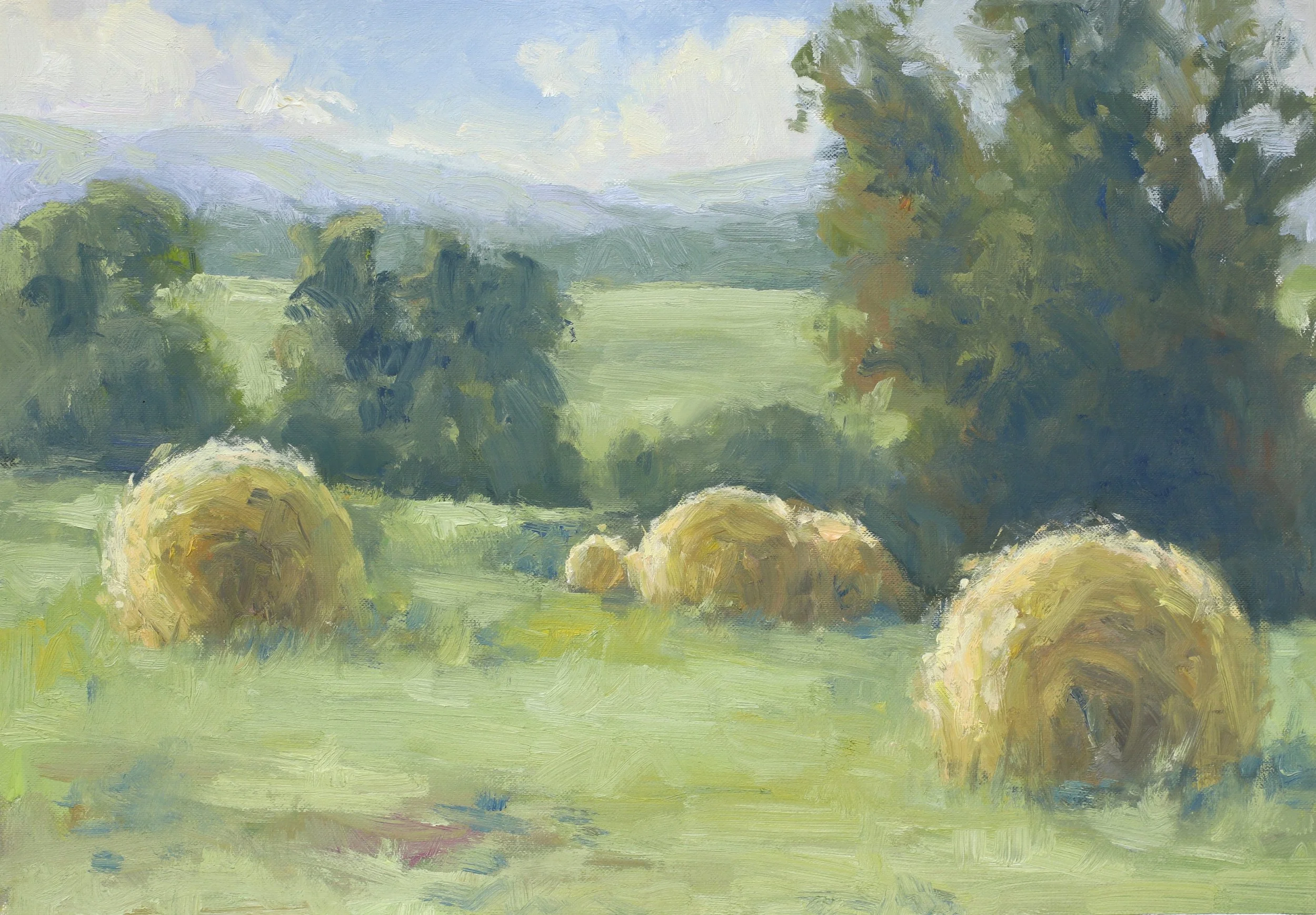 Canon.Inside.Hay Bales Near Charlottesville.JPG