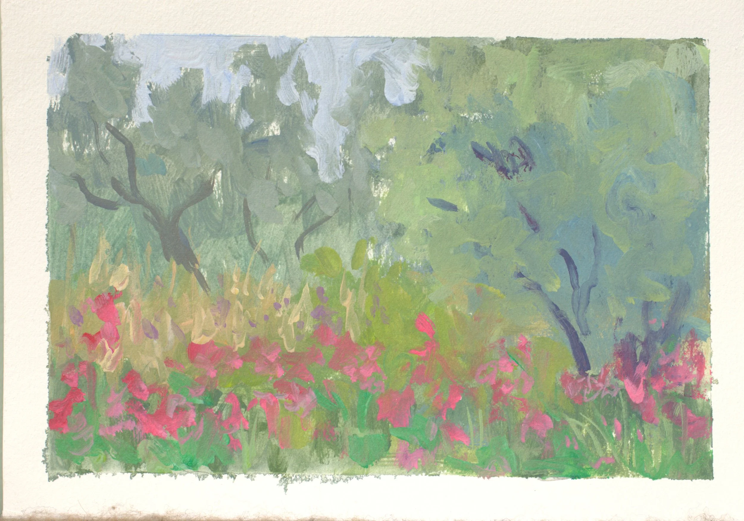 Wild Garden in Southern France full paper.jpg
