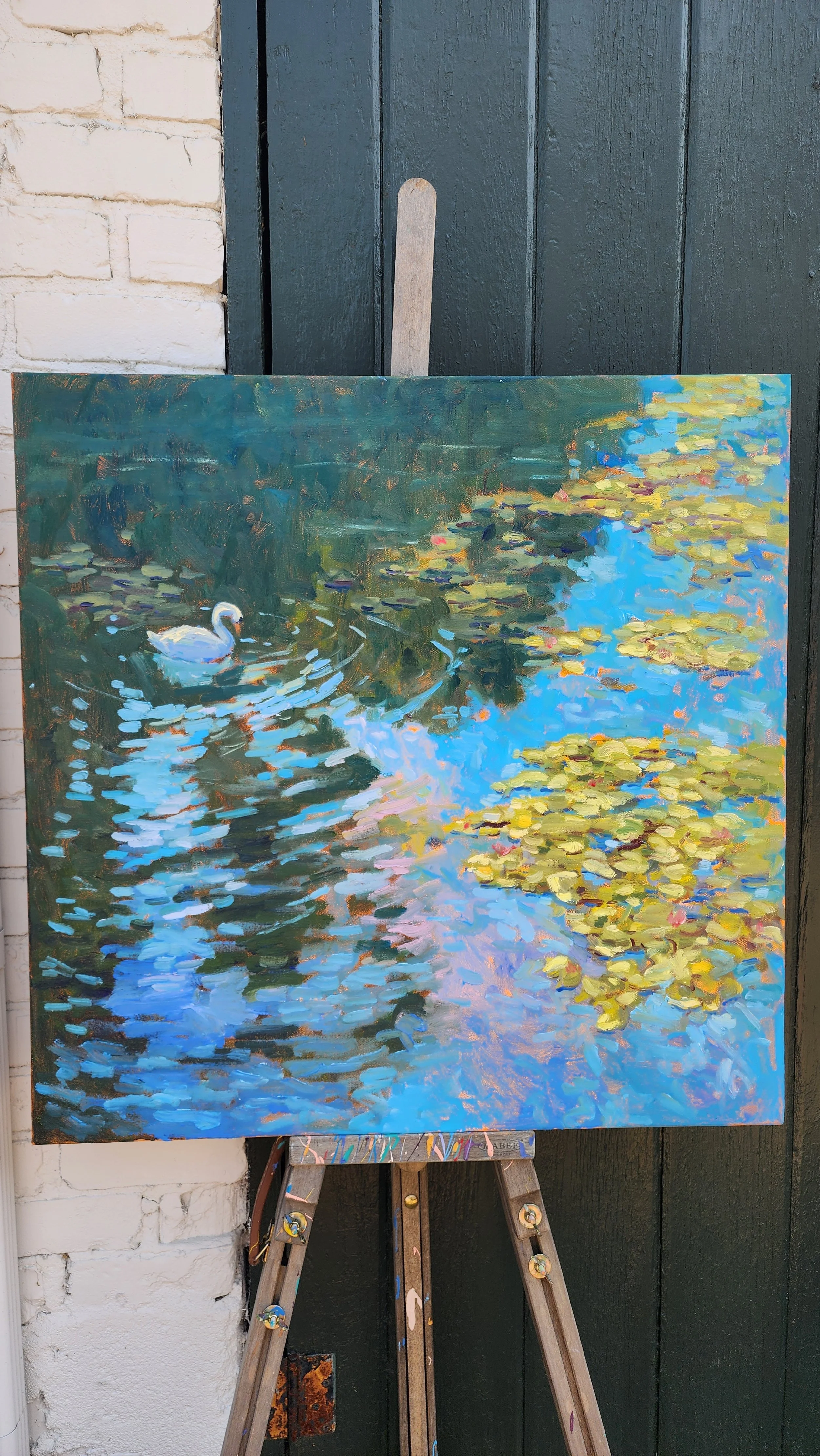 Swan Swimming at St. James's Park from a distance.jpg