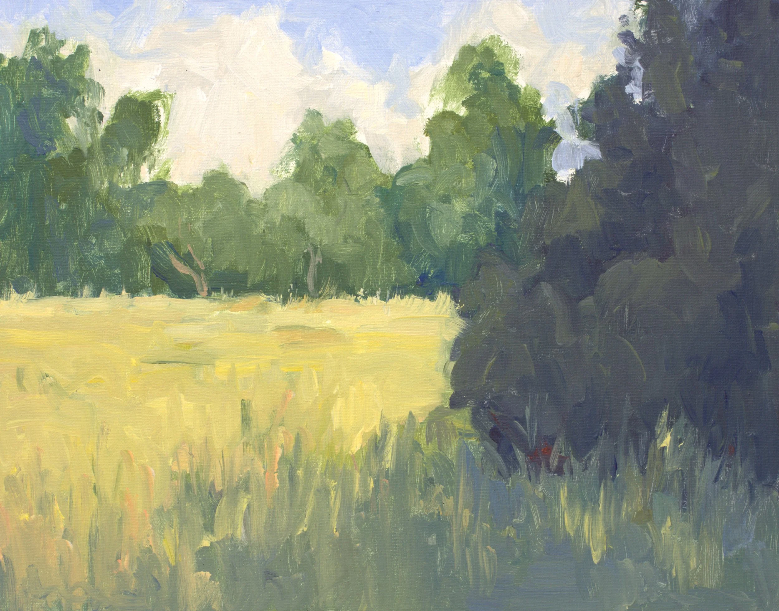 Fields of Valbonne, en plein air.jpg