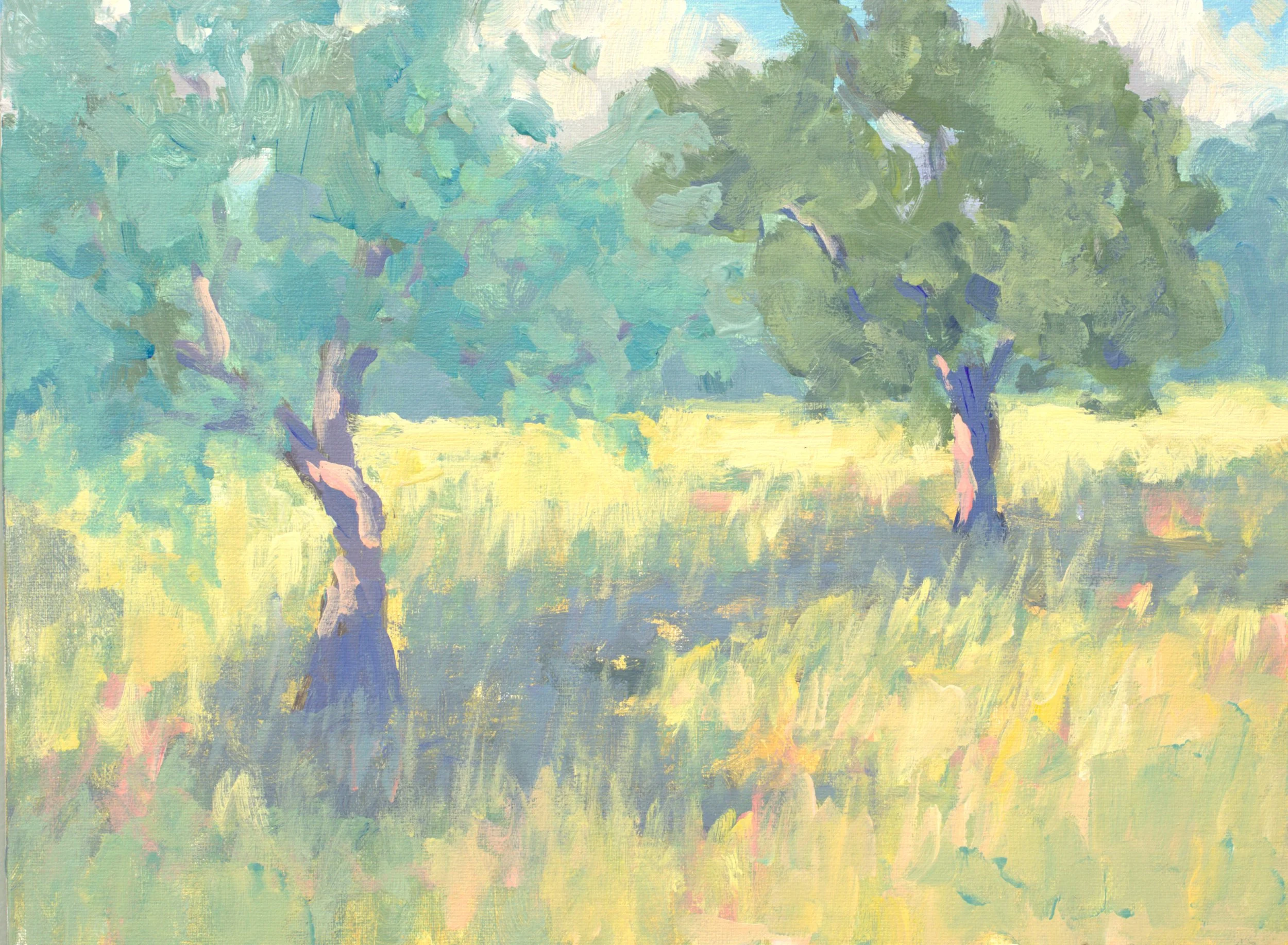 Olive Grove, en plein air.jpg