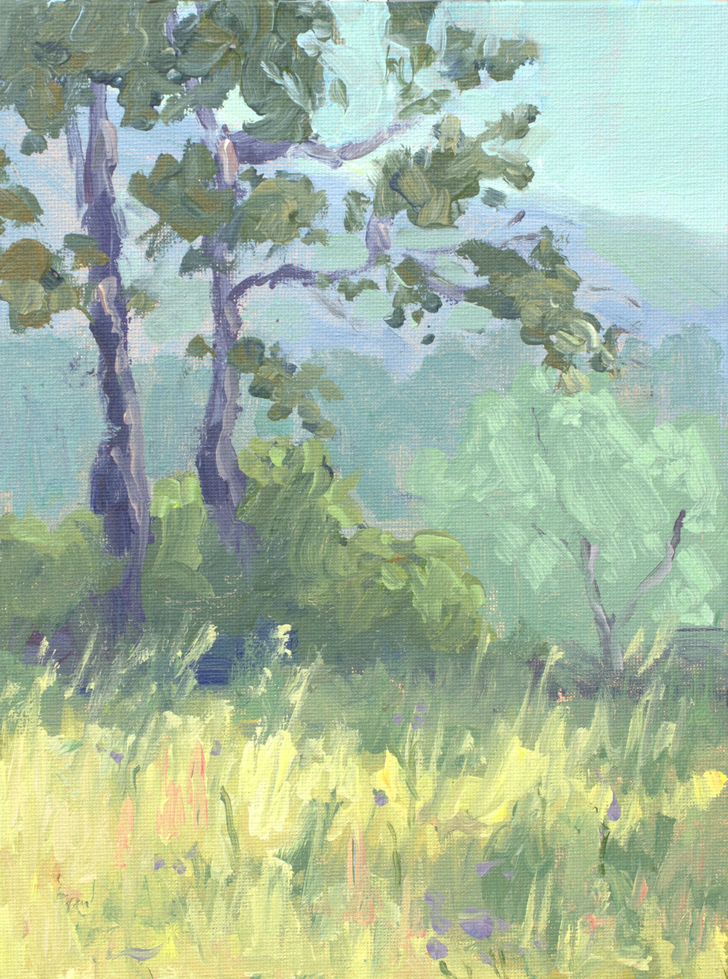 Provencale Field, en plein air.jpg