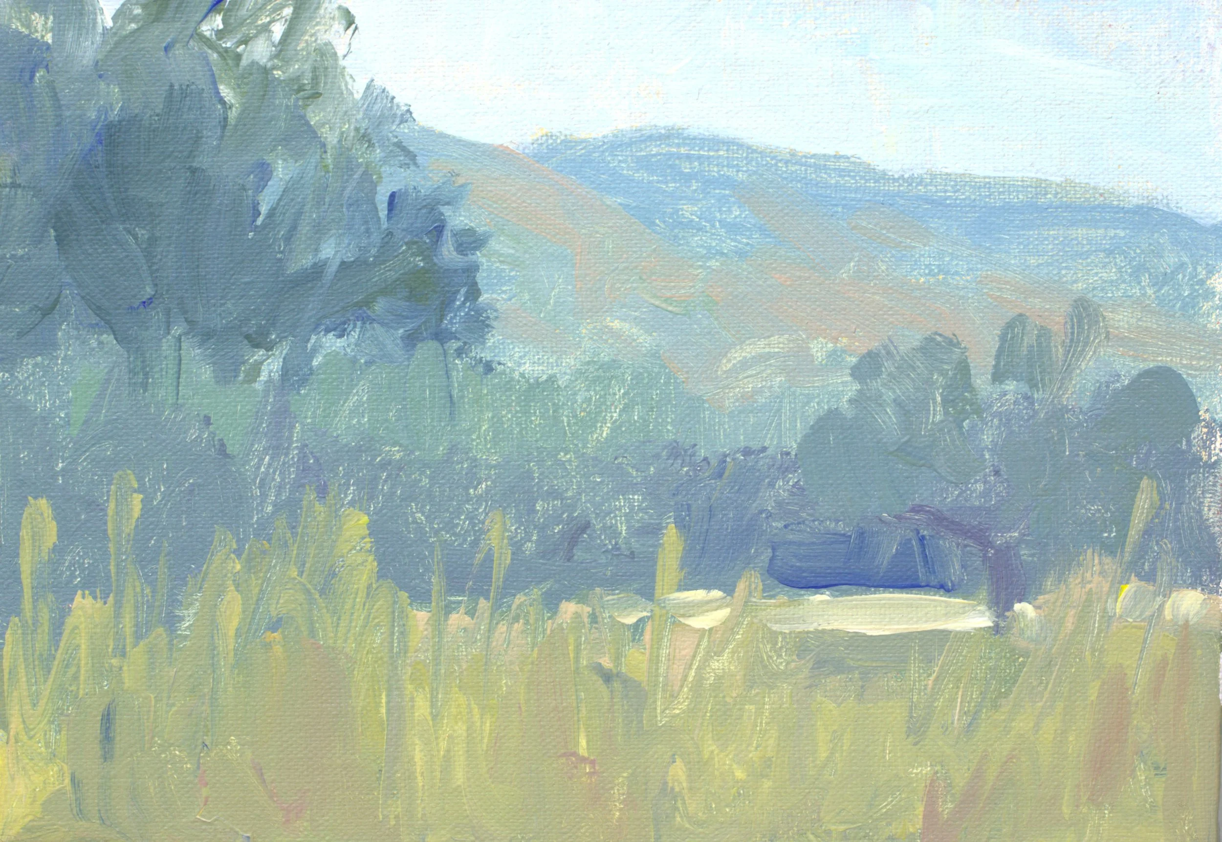 Morning Light Across the Field.jpg