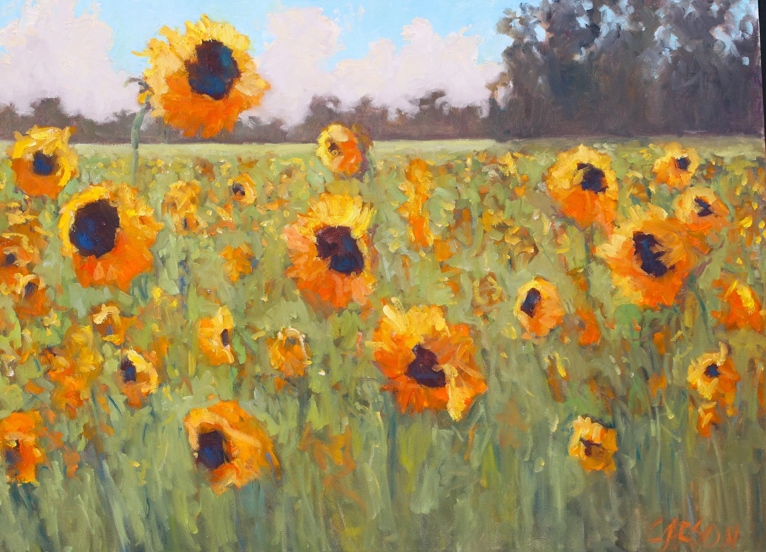 Suffolk Sunflowers.jpg