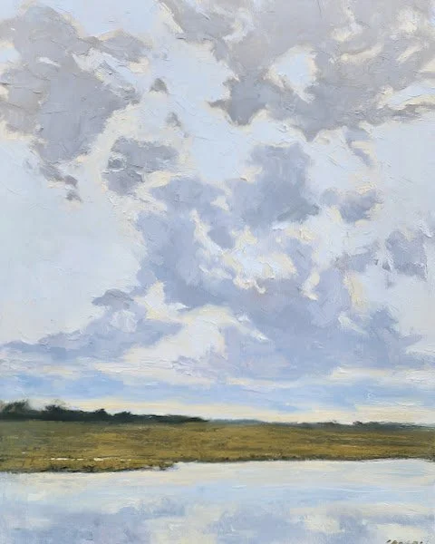 clearing over braddock cove from behind garage.jpg