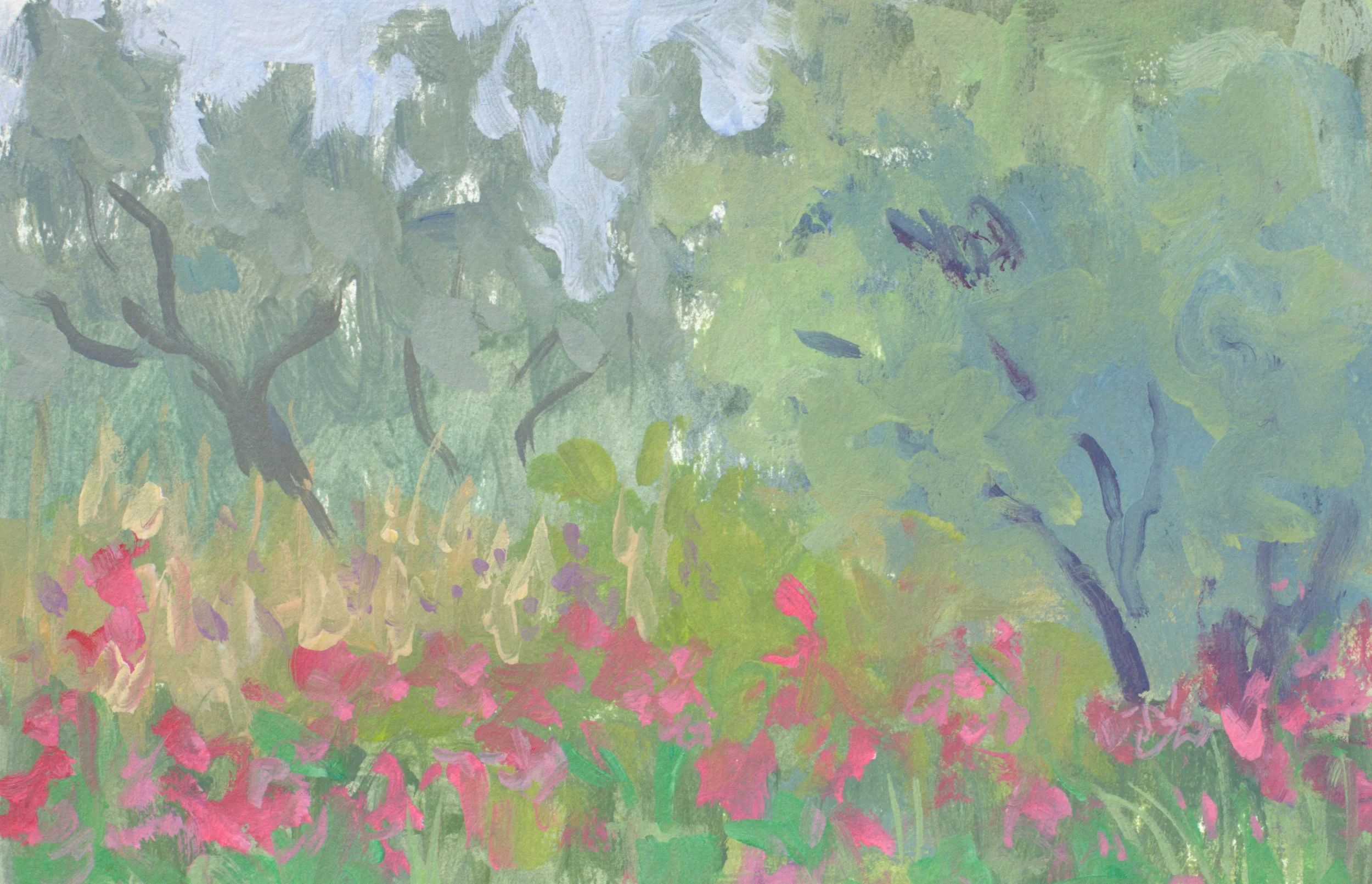 Wild Garden in Southern France.jpg